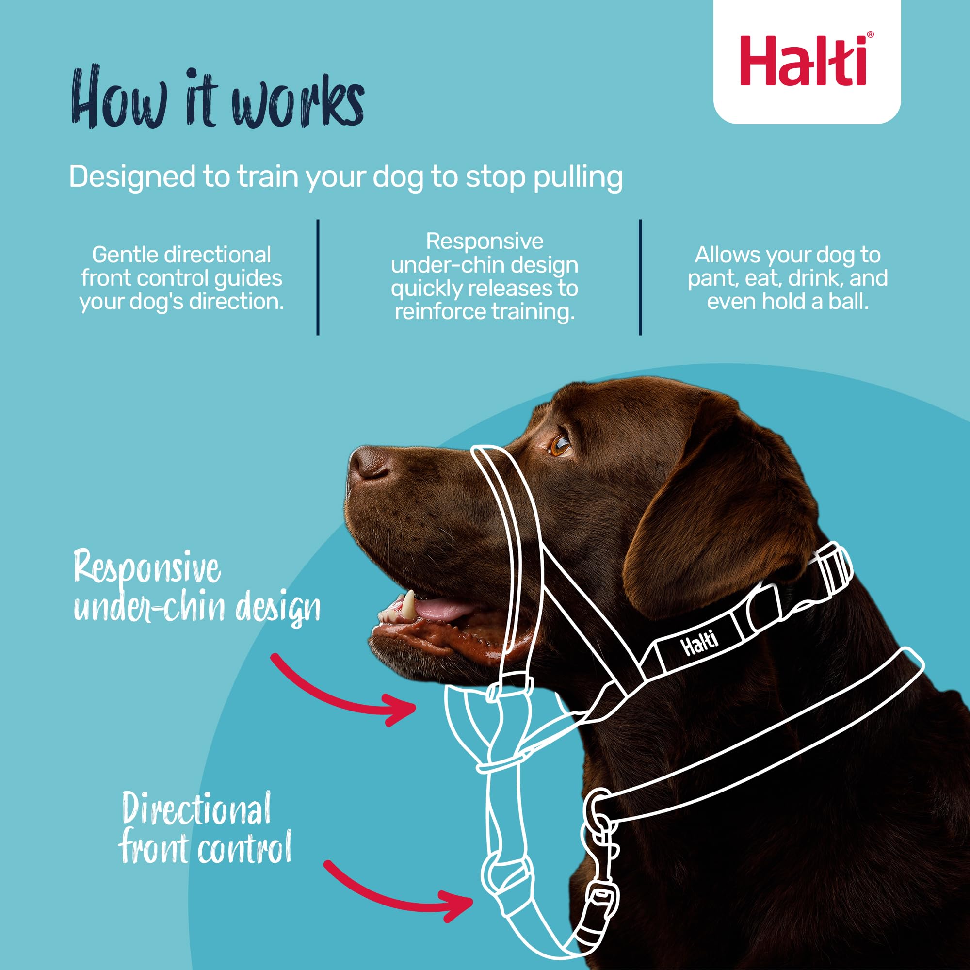 Halti Headcollar for Dogs - Stops Pulling | Size 3, Purple