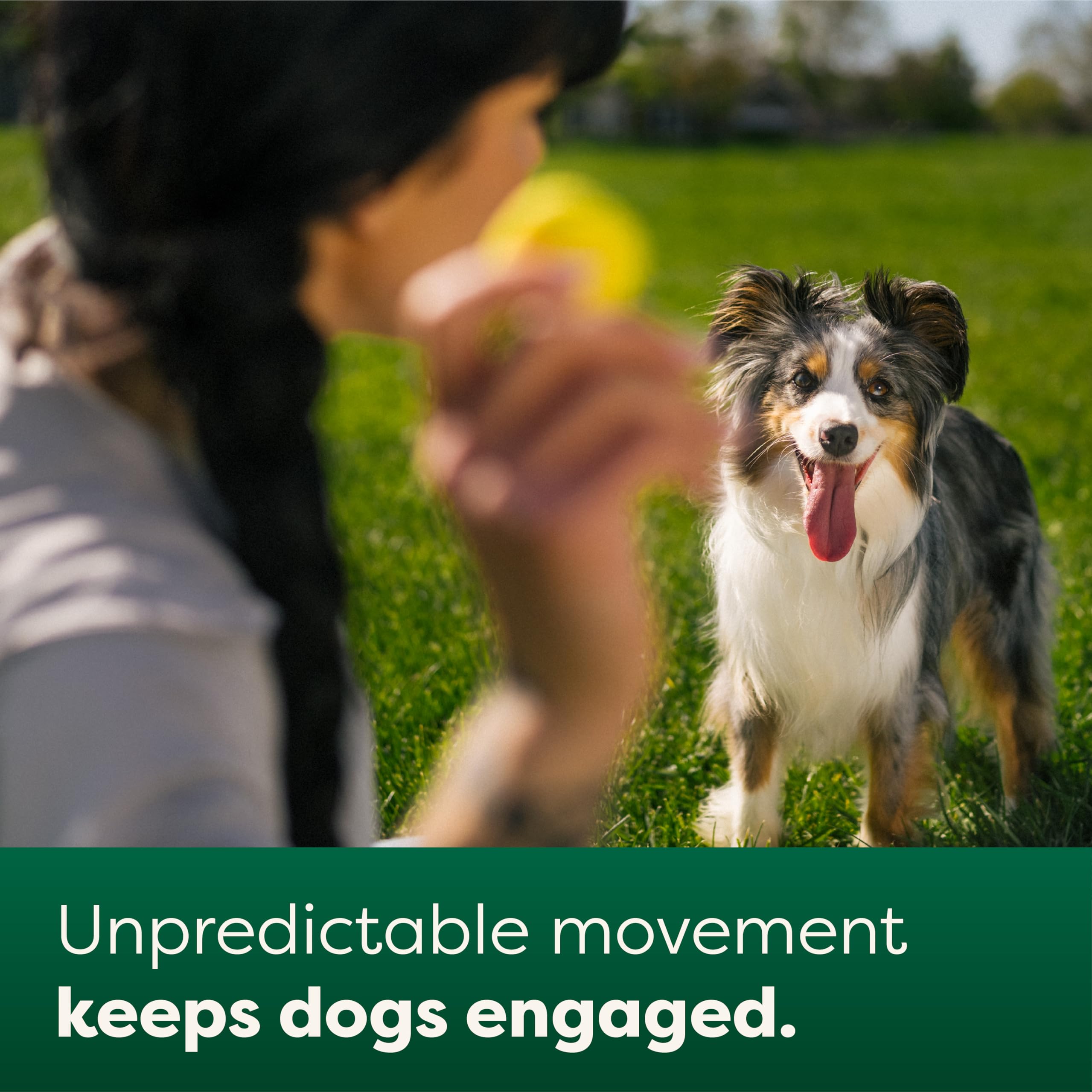Earth Rated Dog Ball - Interactive Fetch Toy with Unpredictable Bounce | Natural Rubber | Medium Size 4