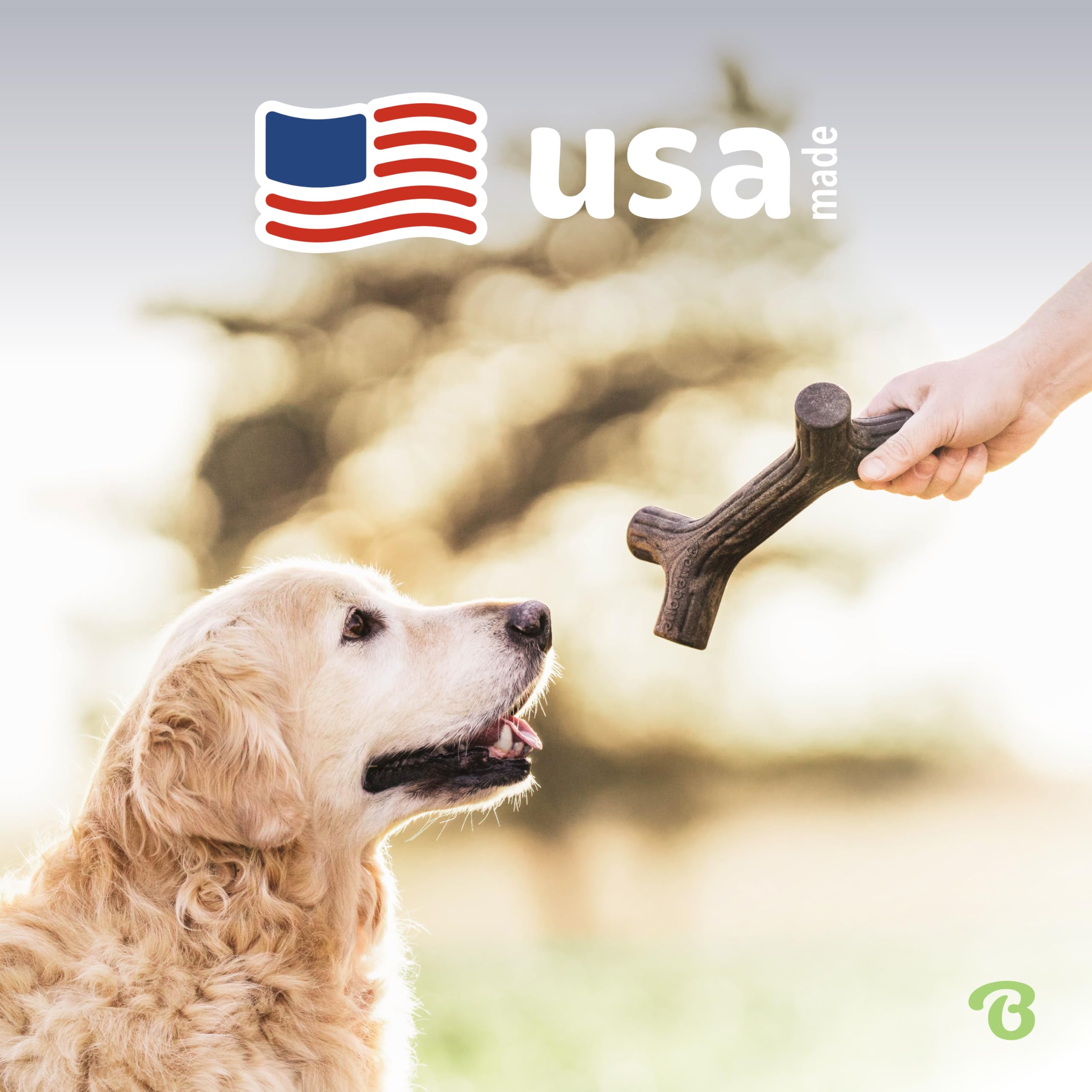 Benebone Stick Dog Chew Toy - Long Lasting, Real Maple Wood Flavor | Small Size 5
