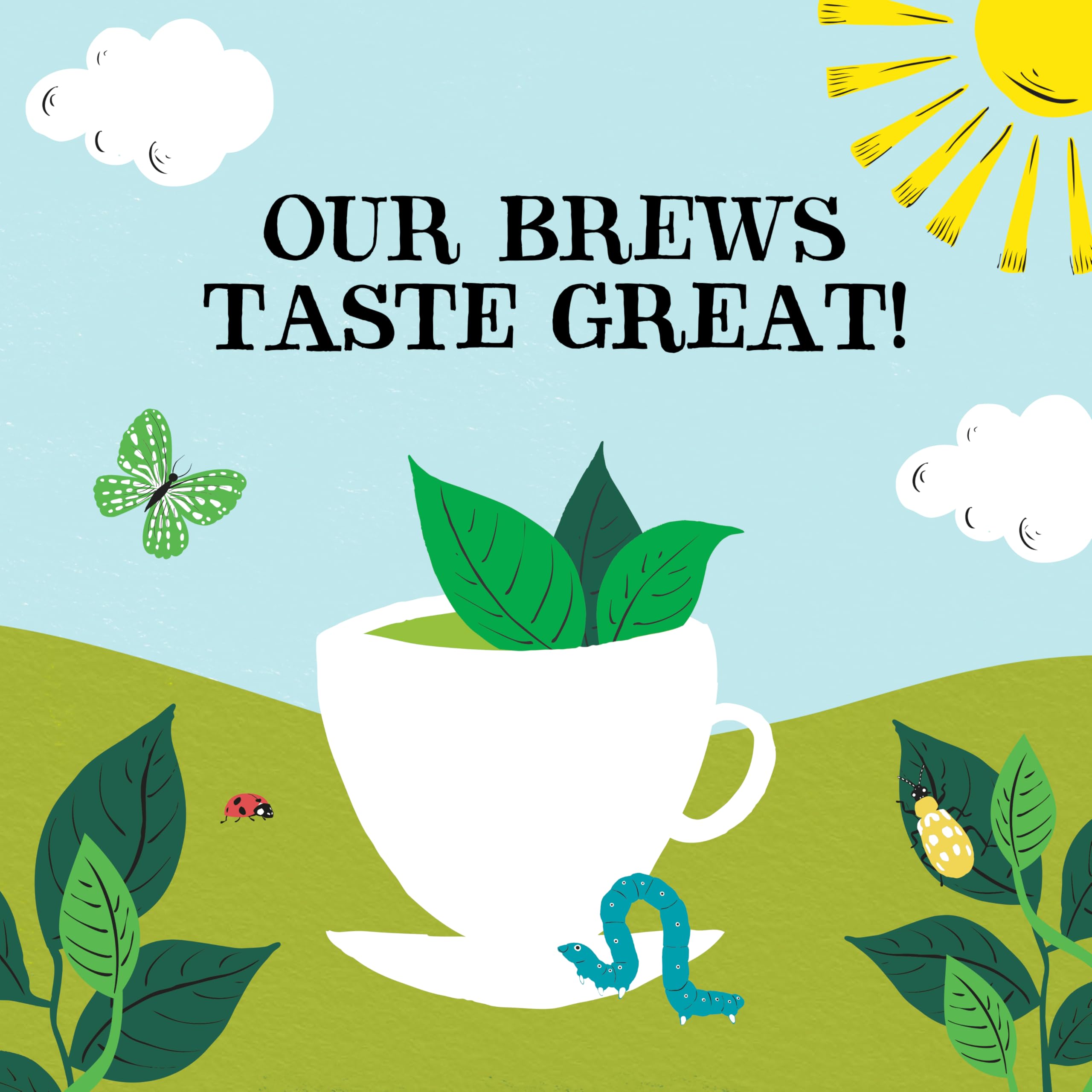 Clipper Organic Pure Green Tea Bags - 320 Bags (4 x 80) Bulk Pack, Fairtrade & Plastic-Free 10