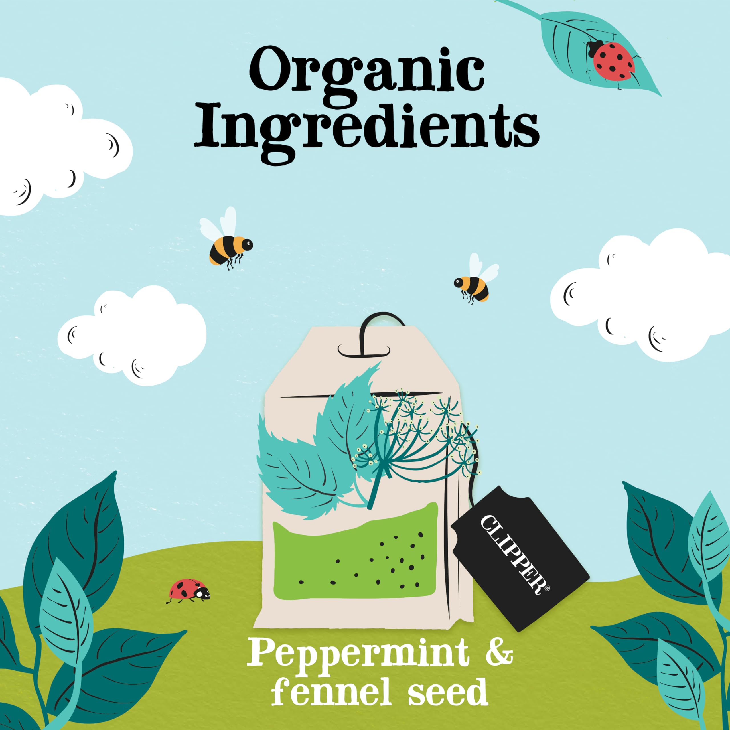 Clipper Organic After Dinner Mint & Fennel Infusion Tea Bags | 20 Unbleached Tea Sachets 6