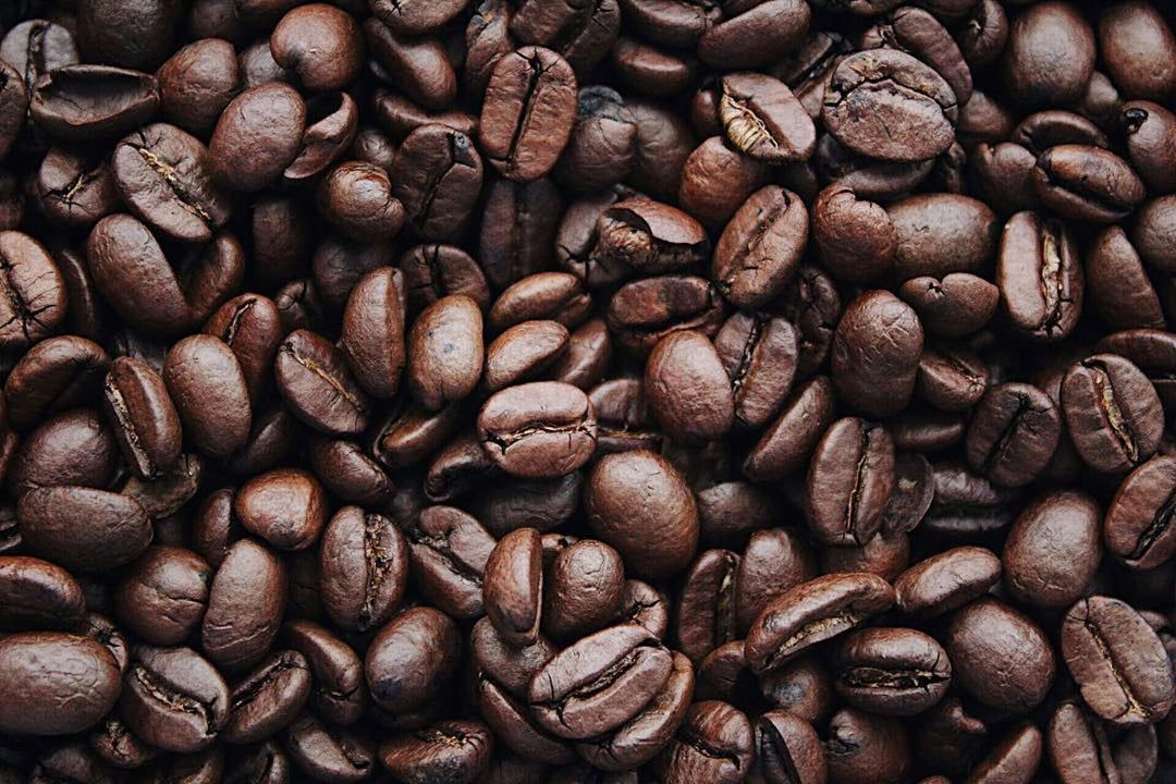 Miofino Pelican Rouge GRAND CLASSICO Whole Medium Roast Coffee Beans | 1kg