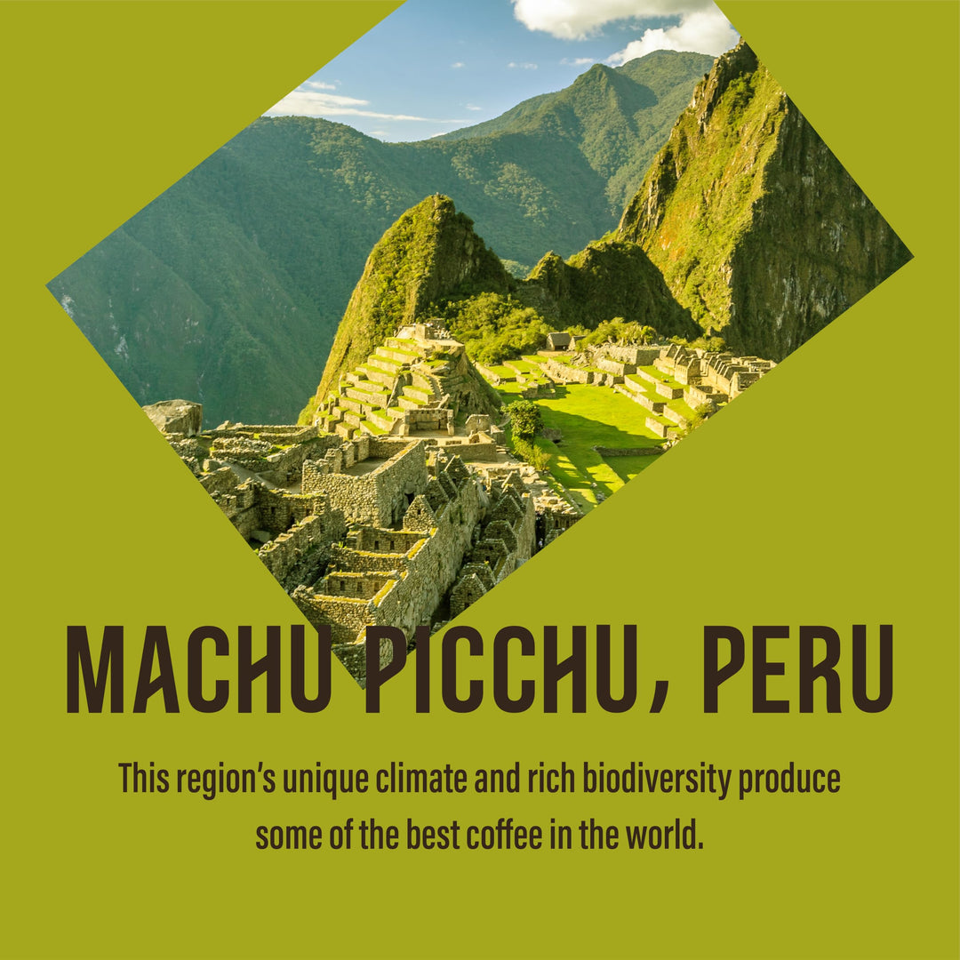 Café Direct Fairtrade Machu Picchu Whole Bean Arabica Coffee 200g