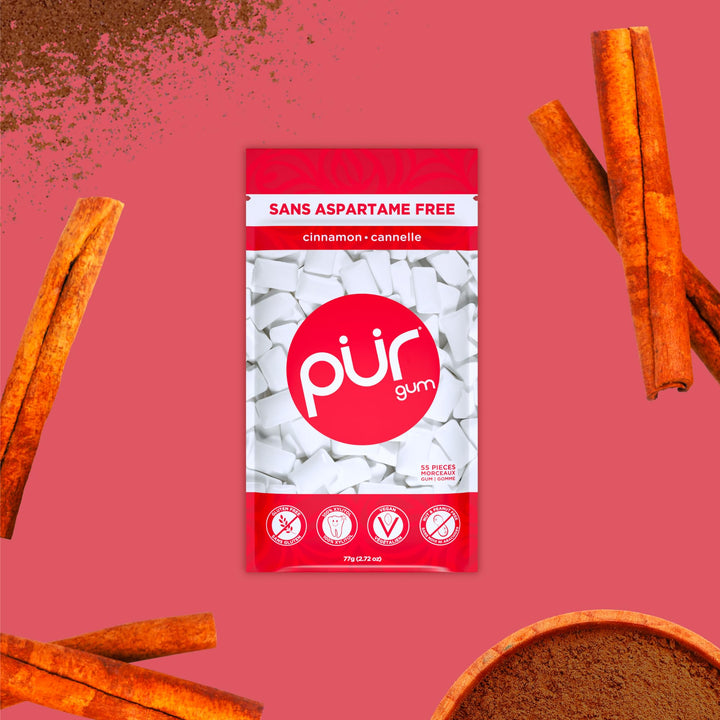 PUR - Natural Cinnamon Sugar-Free Chewing Gum, 55 Pieces (Pack of 1)