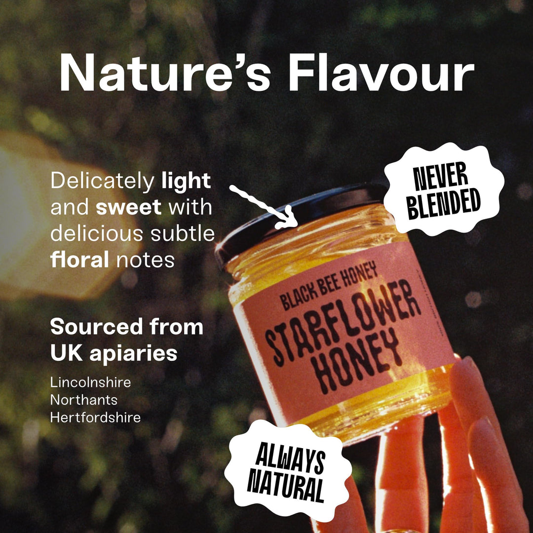 Black Bee Honey - Starflower Honey Pure British Borage Light Sweet and Floral