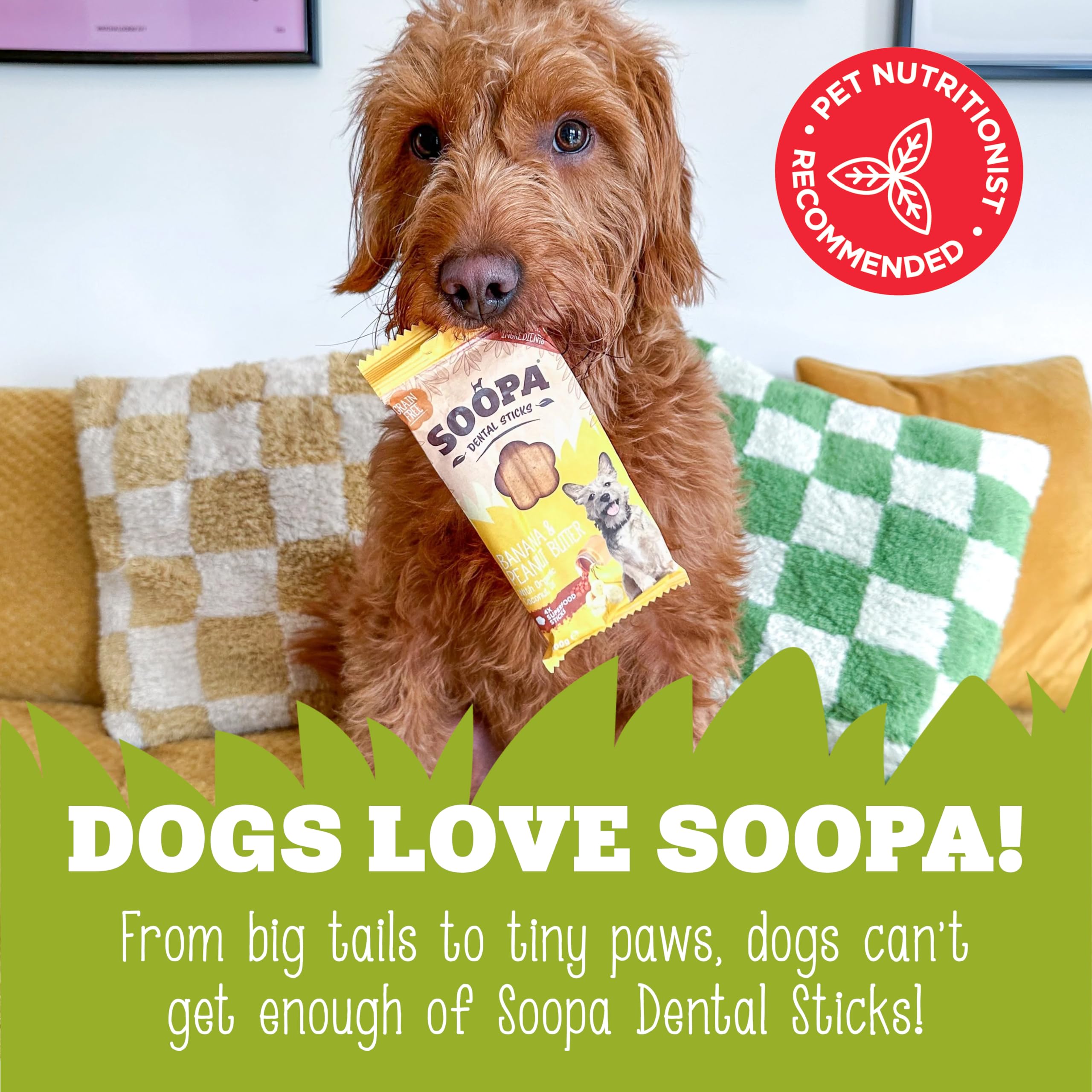 Soopa Cranberry and Sweet Potato Dental Sticks Dog Treat, Low Fat, Hypoallergenic, 100 g 7