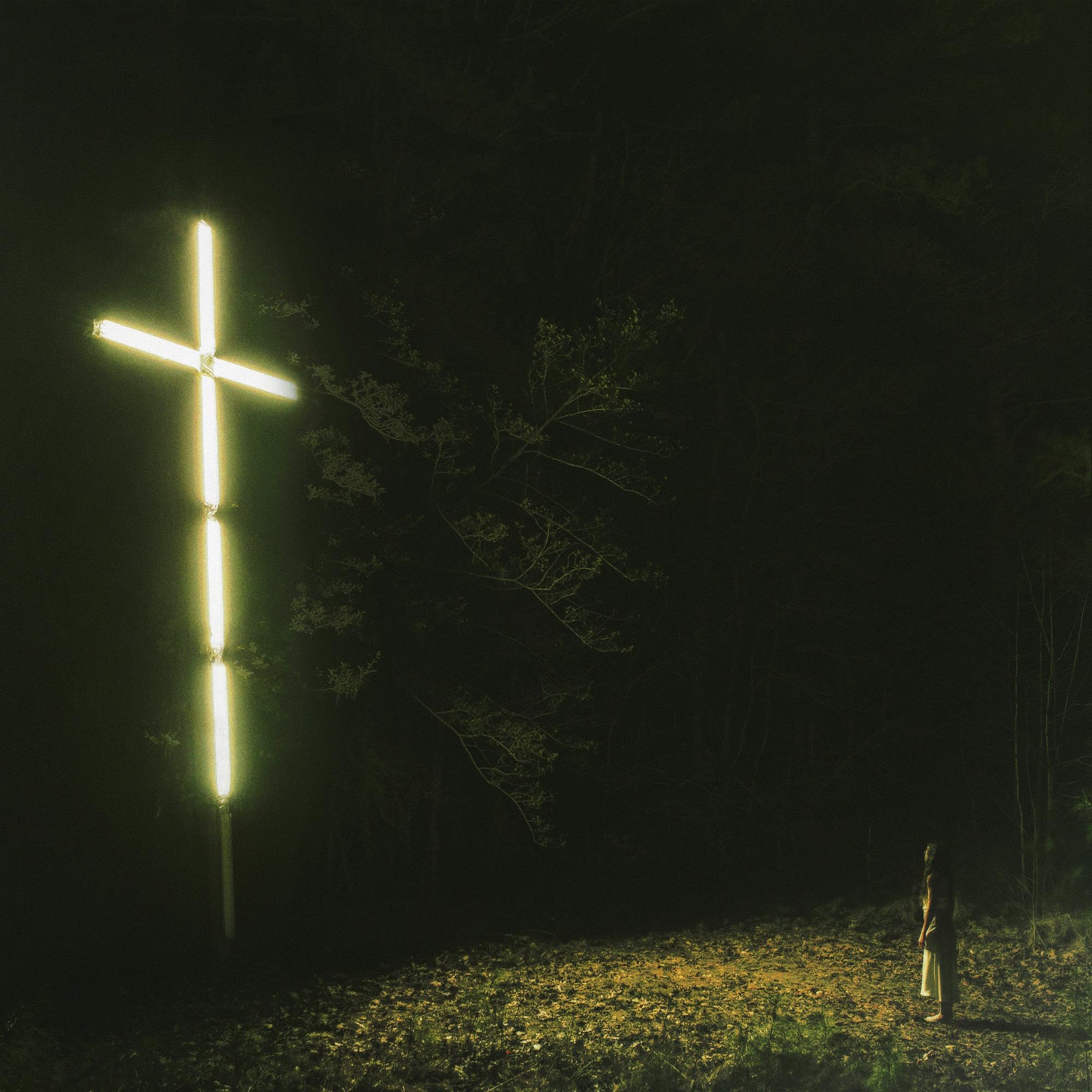 Knocked Loose - You Won't Go Before You're Supposed To [Vinyl] 1