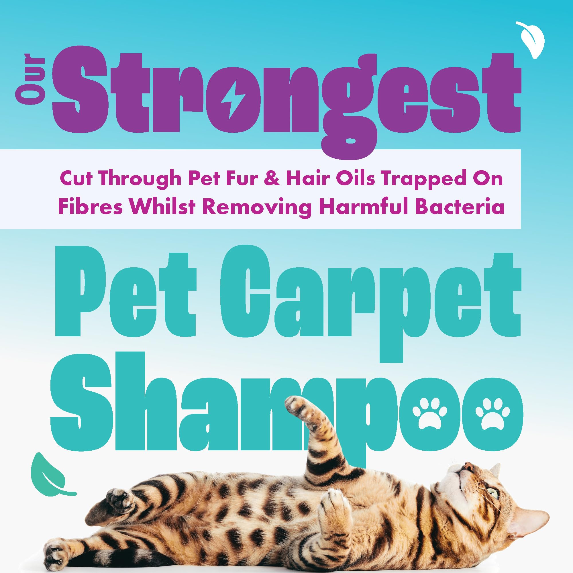 Dirtbusters Pet Pro Antibacterial Carpet Cleaner Shampoo - Kills 99.99% Bacteria | 1L Liquid 9