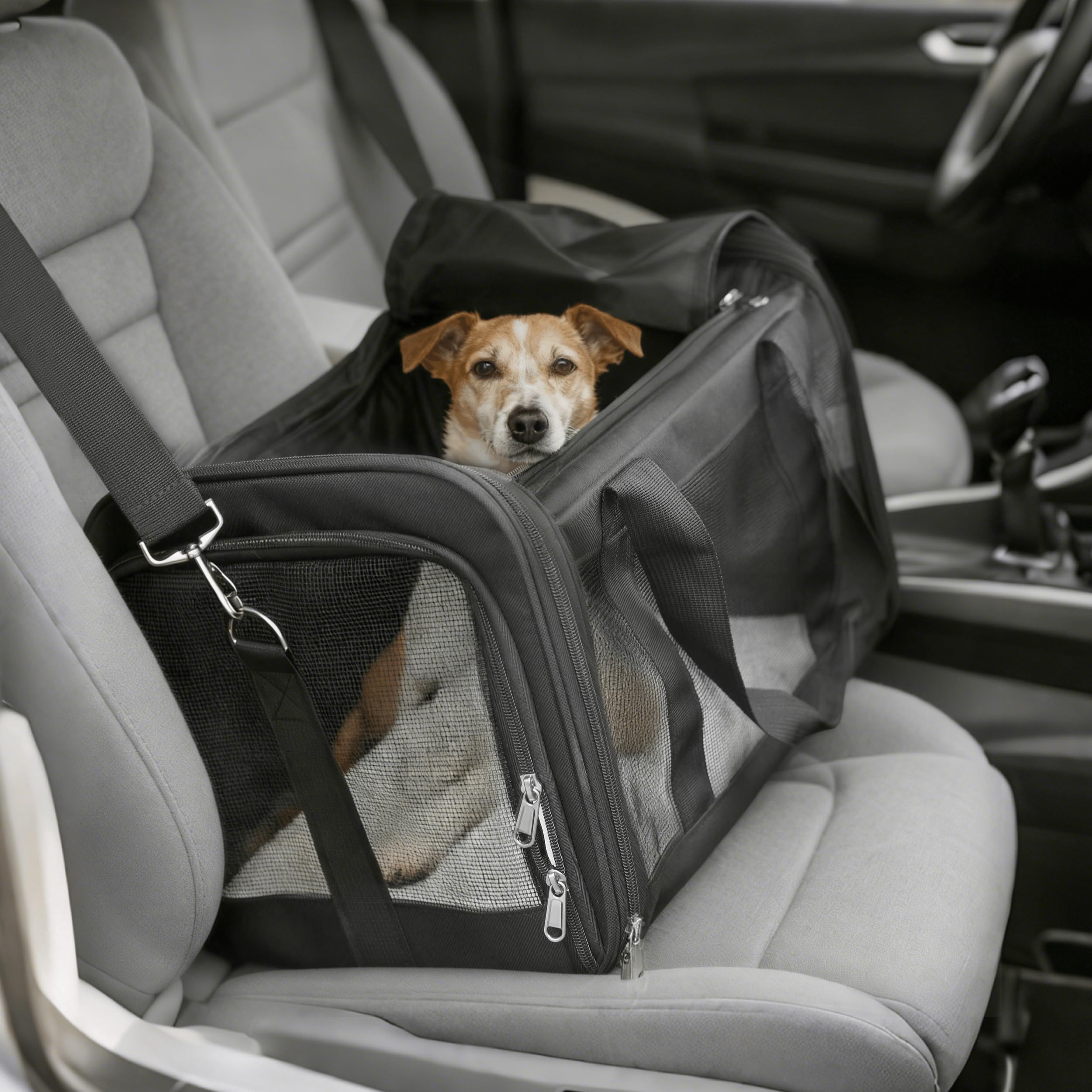 REQUISITE NEEDS Soft-Sided Pet Carrier - Airline Approved | Foldable Travel Bag | Up to 7.7 kg 6
