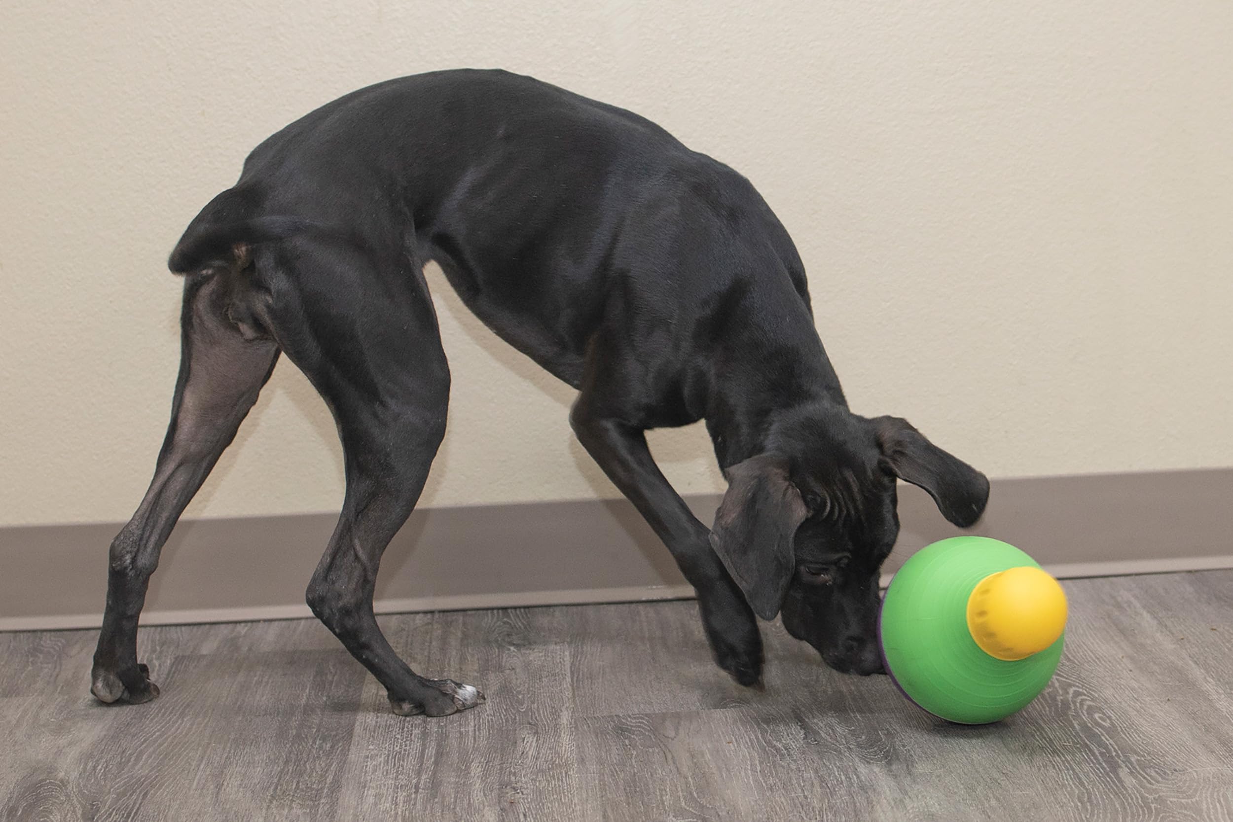 STARMARK Bob-a-Lot Interactive Dog Toy - Treat Dispensing, Adjustable Difficulty, Large Size 5
