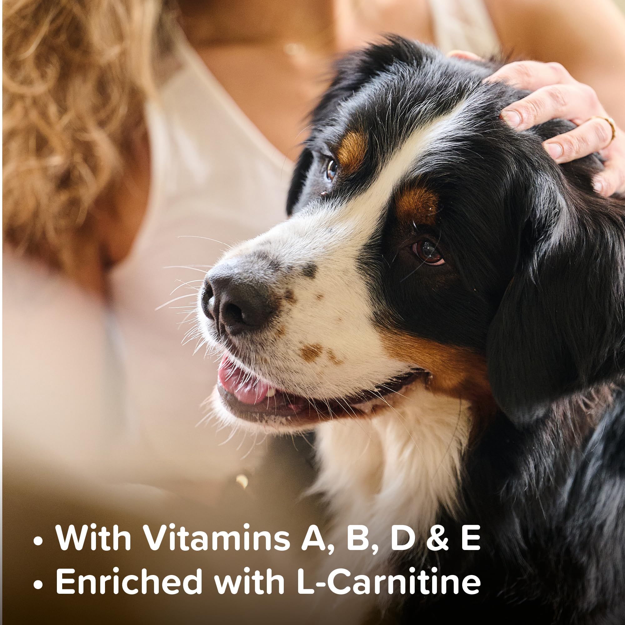 Beaphar Top 10 Multi-Vitamin Tablets for Dogs - 180 Tabs | Immune & Coat Support 4