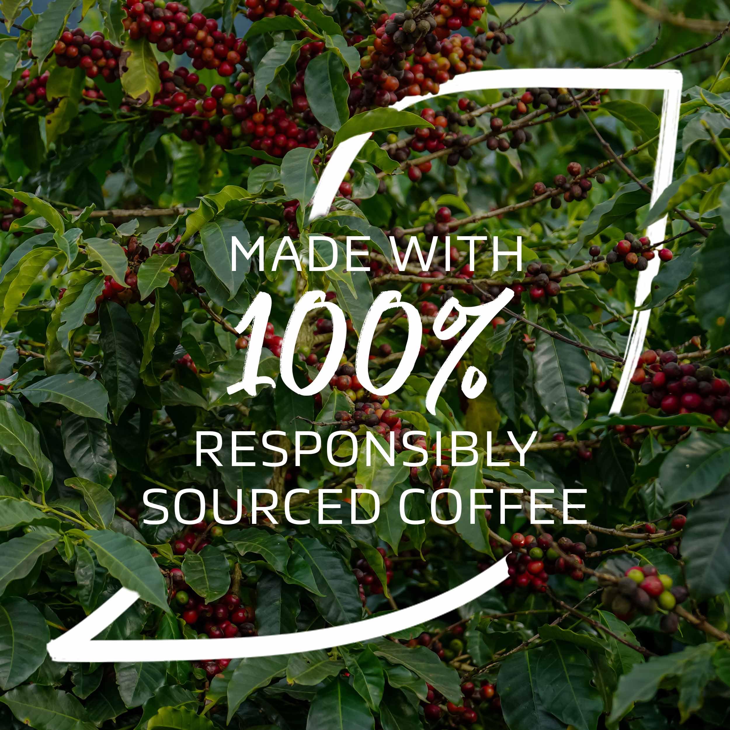 NESCAFÉ Iced Latte Salted Caramel Instantkaffee – 7 Beutel à 14,5 g 5