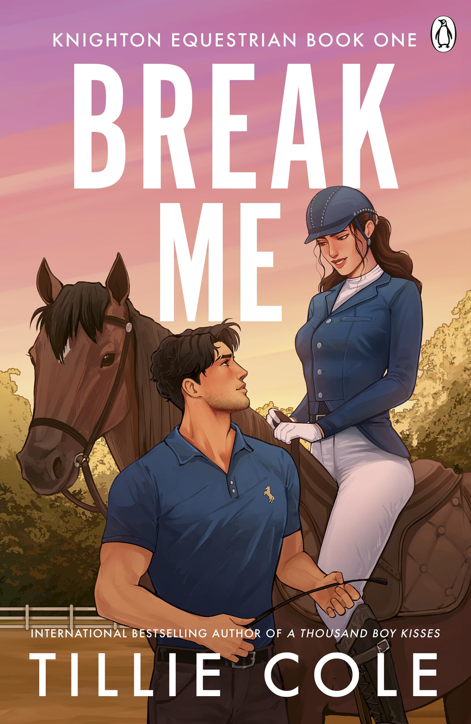 Break Me: A Steamy Romance Novel by Tillie Cole | Paperback | English 1