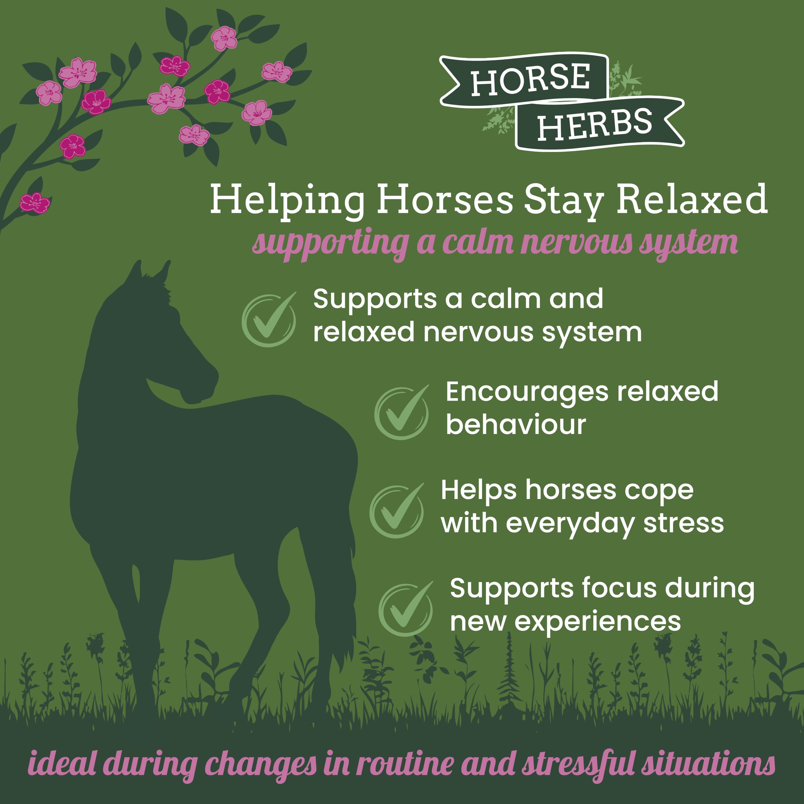 Horse Herbs Calming Mix - 1kg Natural Herbal Supplement for Horses 5