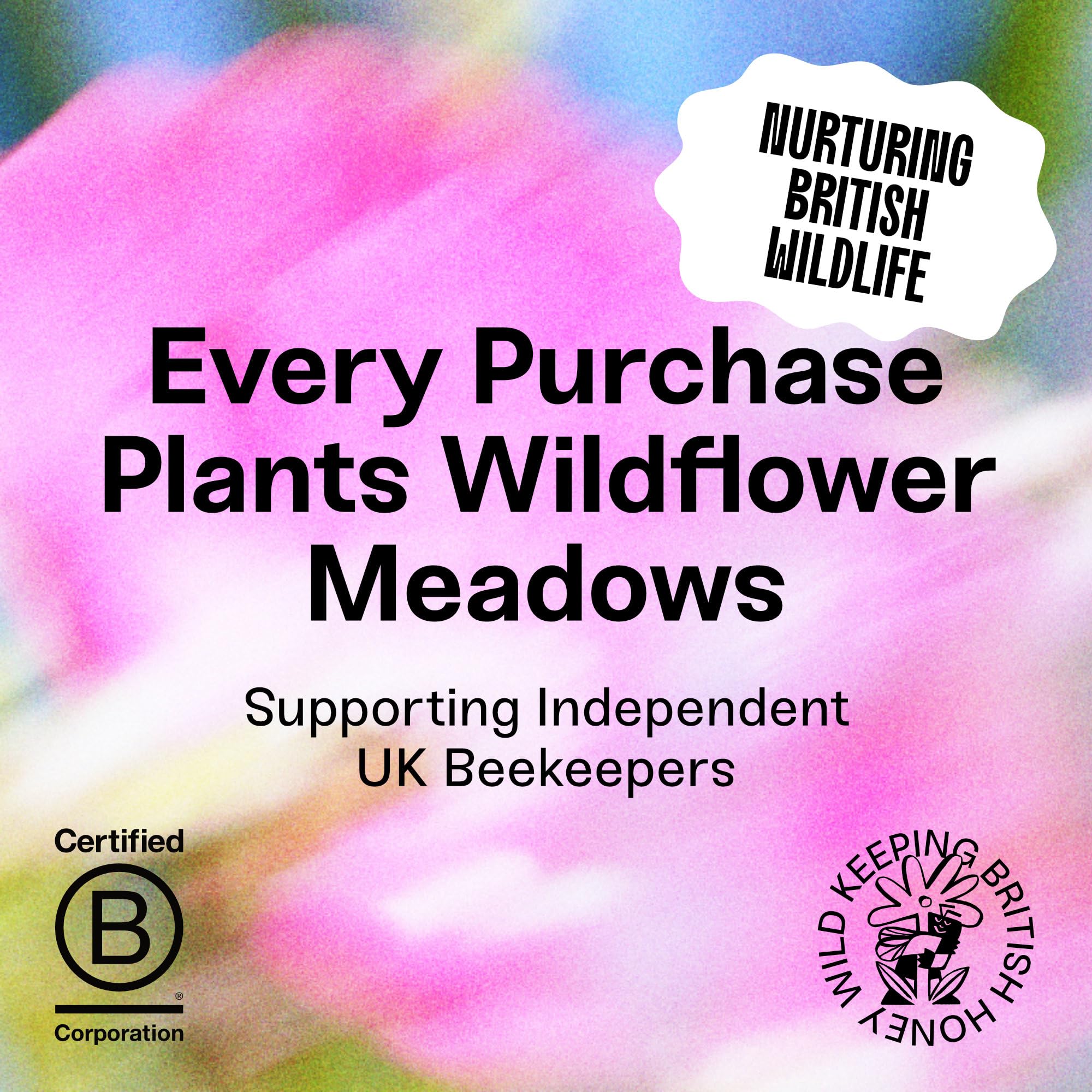 Black Bee Honey - Pure British Autumn Honey, Thick with Bold Aromatic Flavour 5