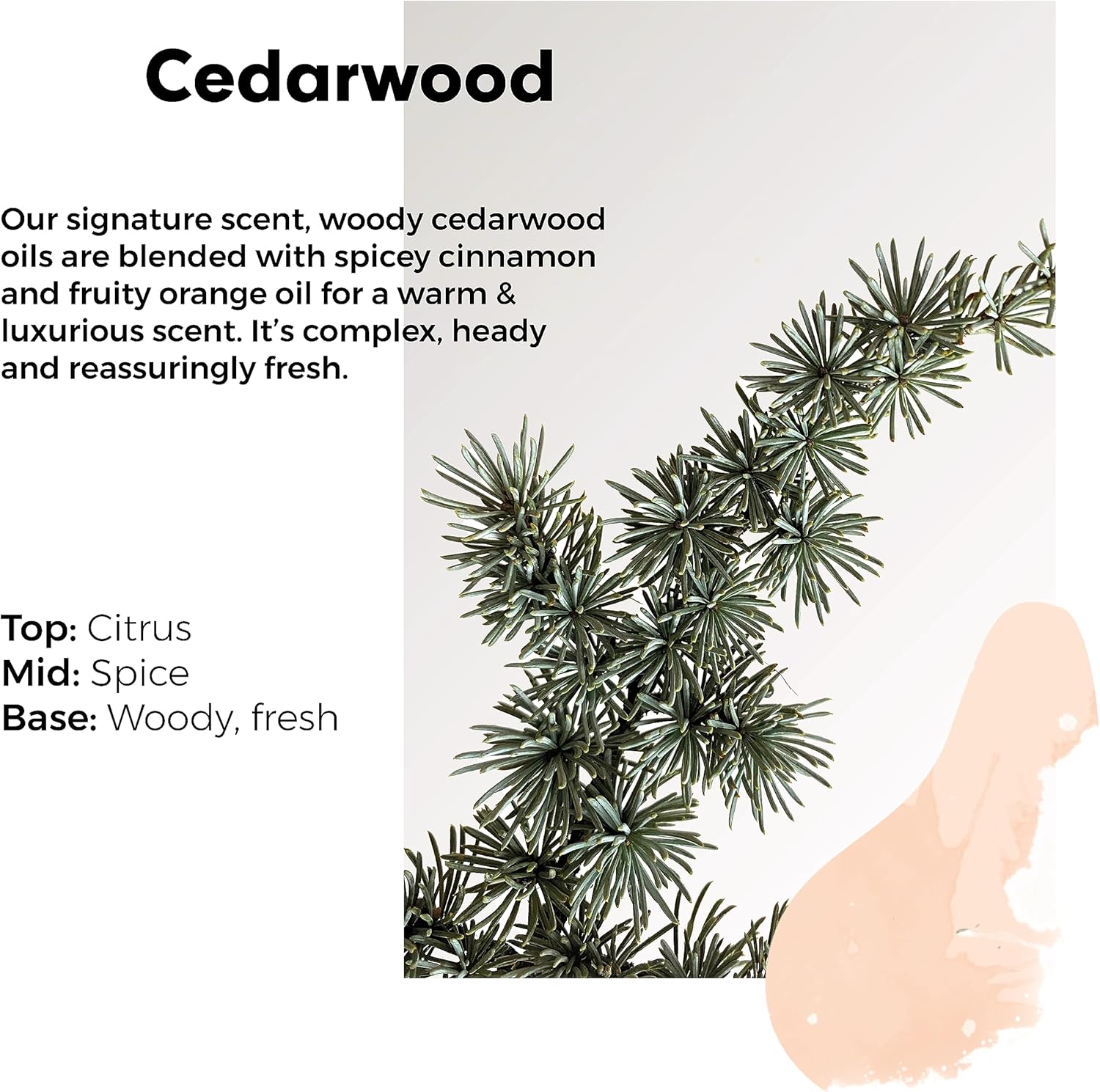 Wilton London Eco Friendly Cedarwood Laundry Liquid (1kg) 5