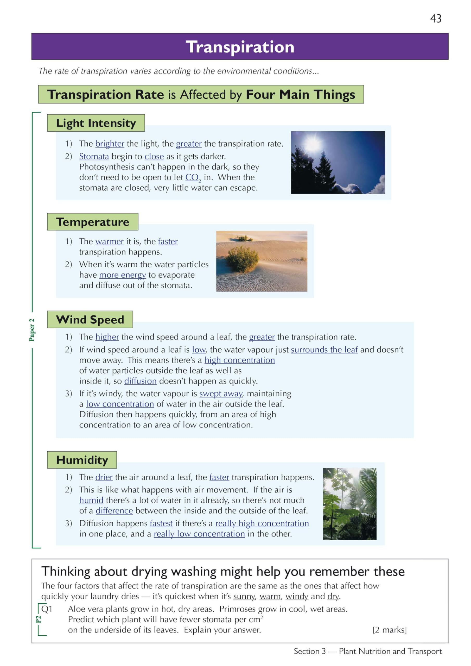 CGP Grade 9-1 Edexcel International GCSE Biology: Complete Revision & Practice with Online Edition | Paperback 5