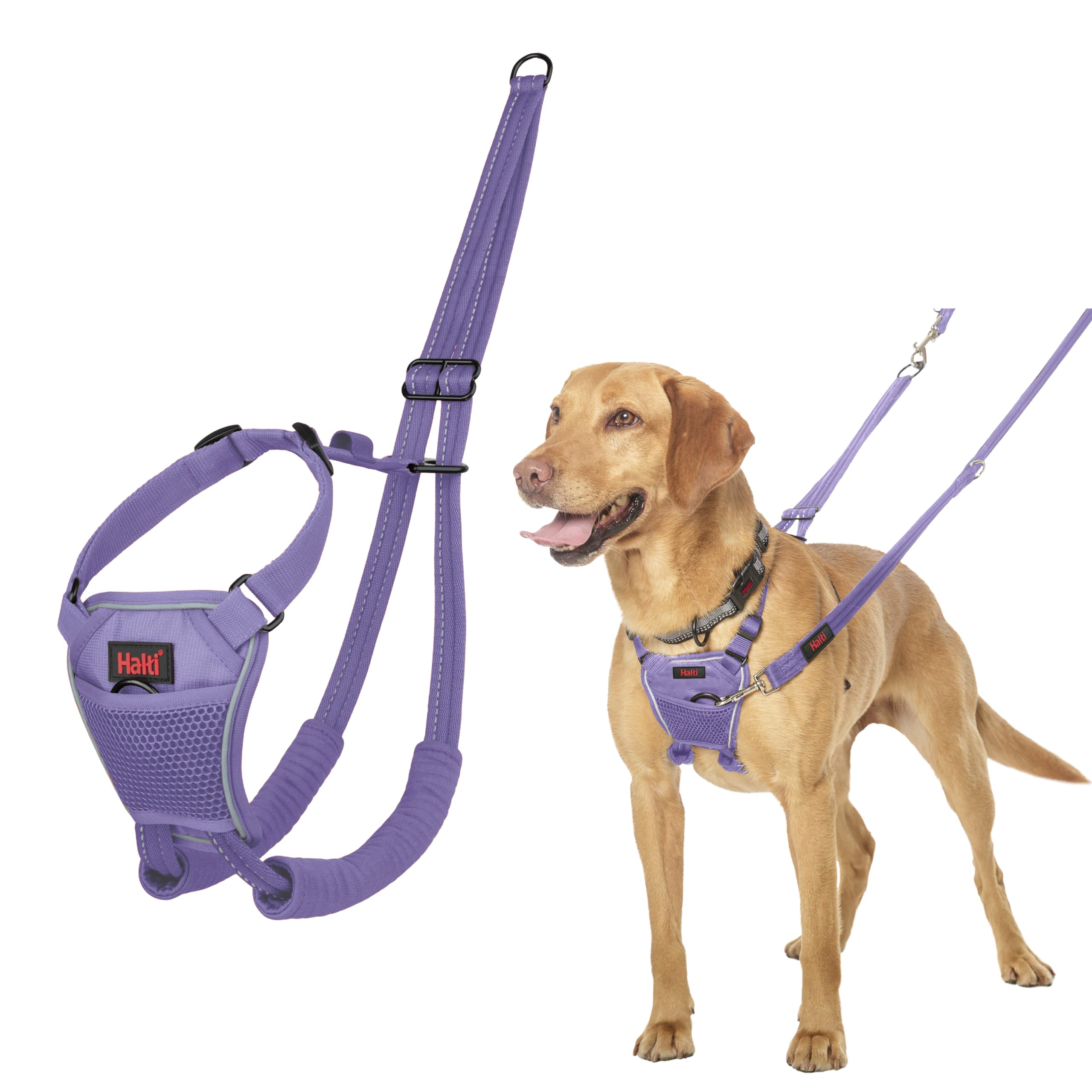 Halti No Pull Dog Harness - Stops Pulling, Comfortable Fit | Size M, Purple