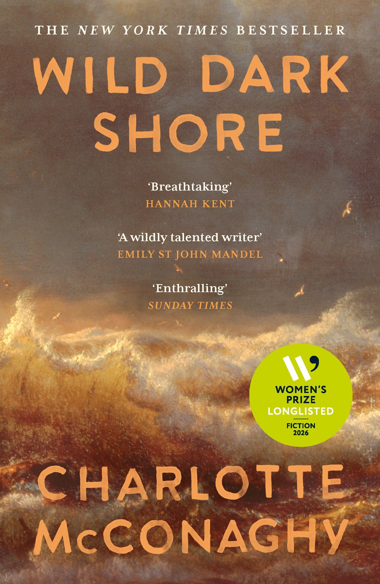 McConaghy, Charlotte - Wild Dark Shore | Contemporary Fiction Paperback