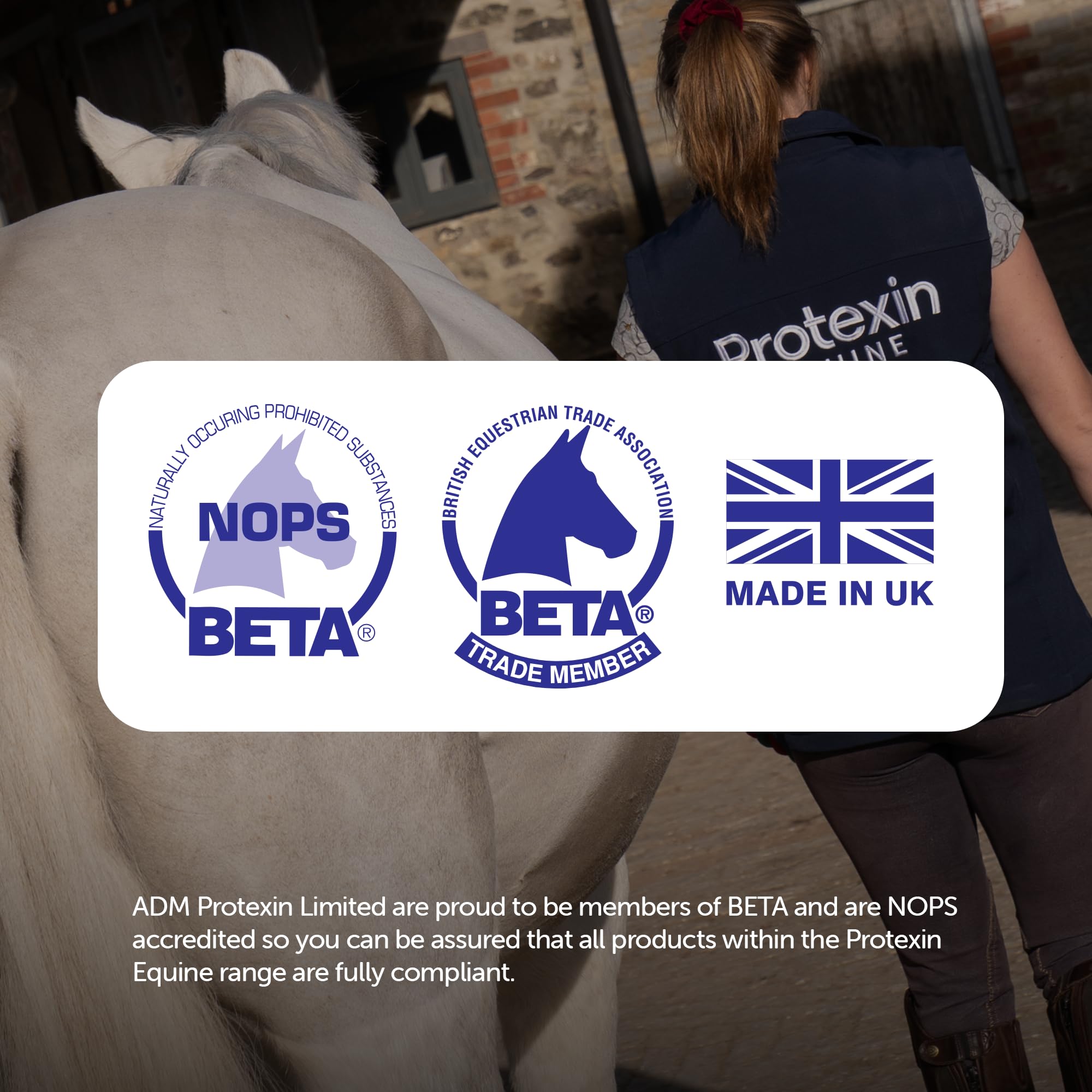 Protexin Equine Premium Gut Balancer - Daily Digestive Health Support | 700 g 7