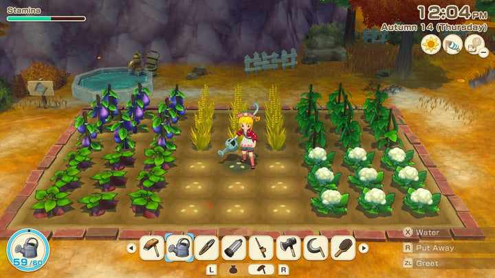 Story of Seasons: Grand Bazaar - Nintendo Switch