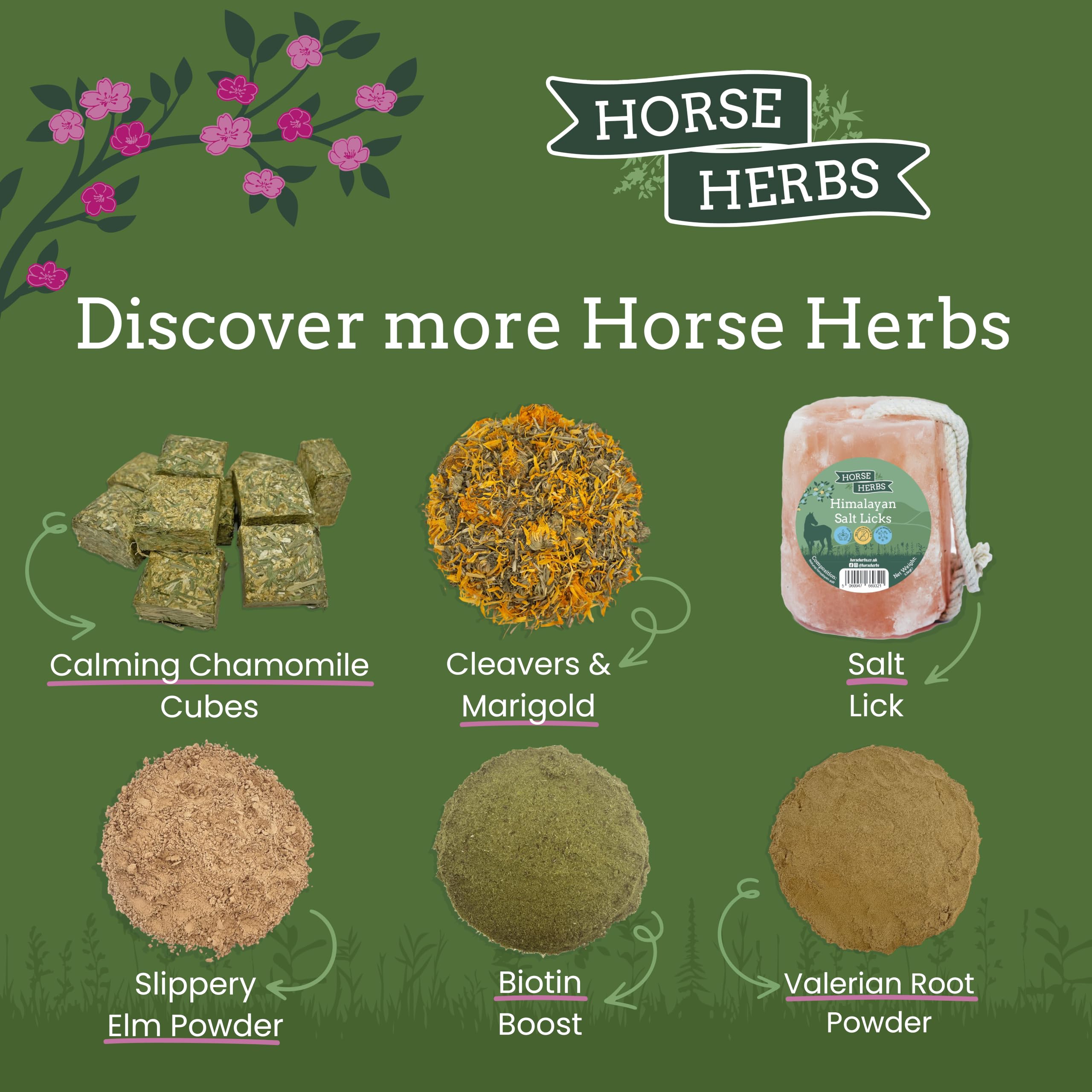Horse Herbs Calming Mix - 1kg Natural Herbal Supplement for Horses 7