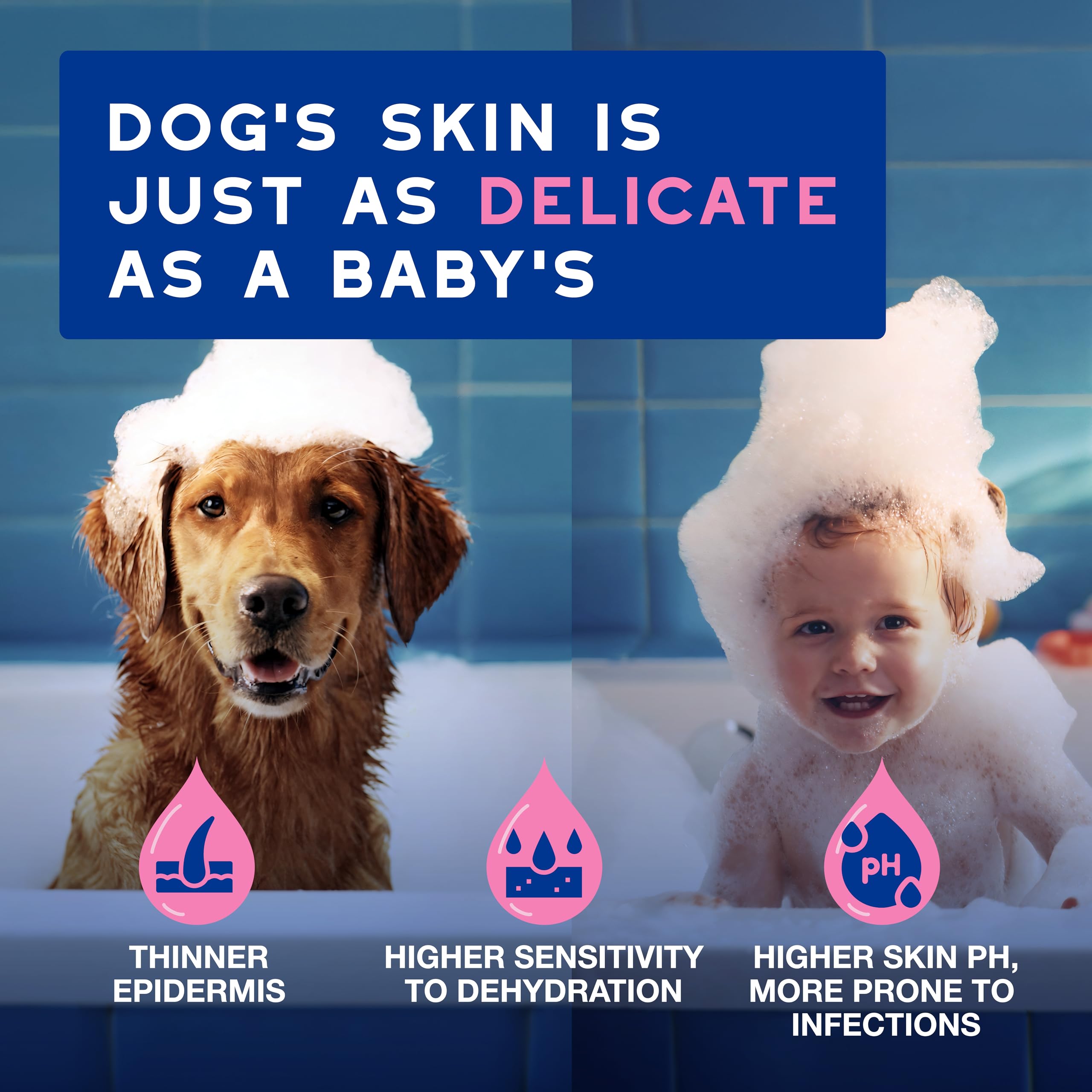 Douxo Skin & Coat SPA Soothing Dog Shampoo - 250 ml | Hydrating & pH Balanced 3