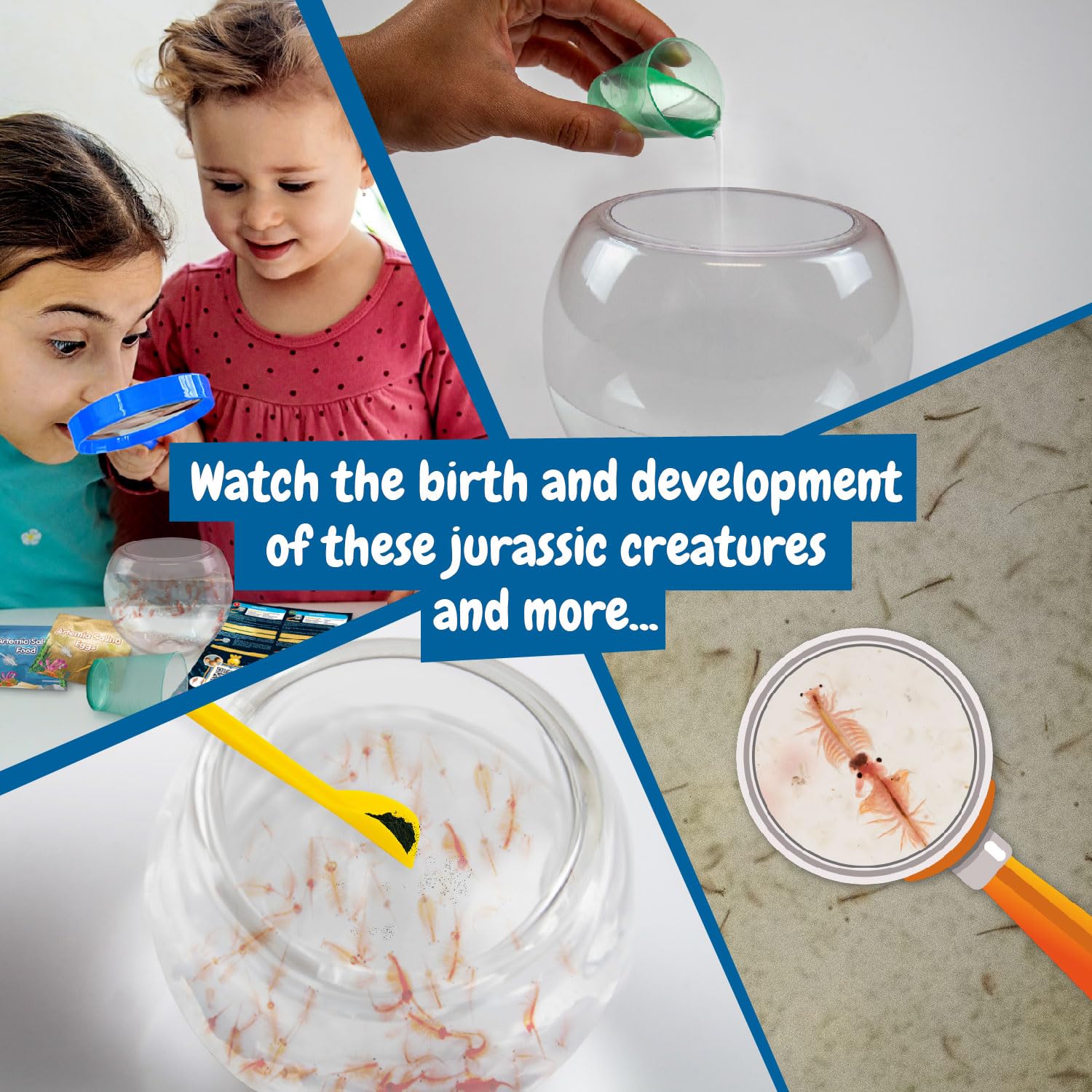 Science4you Jurassic Pets Triops Family Water Dragons Grow Kit for Ages 6+ 8