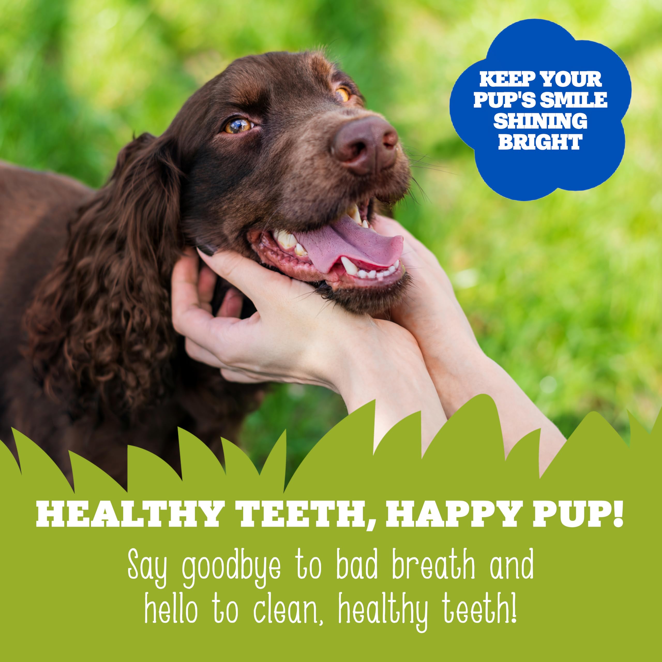 Soopa Apple & Blueberry Dental Sticks - All Natural | Low Fat | All Life Stages 4