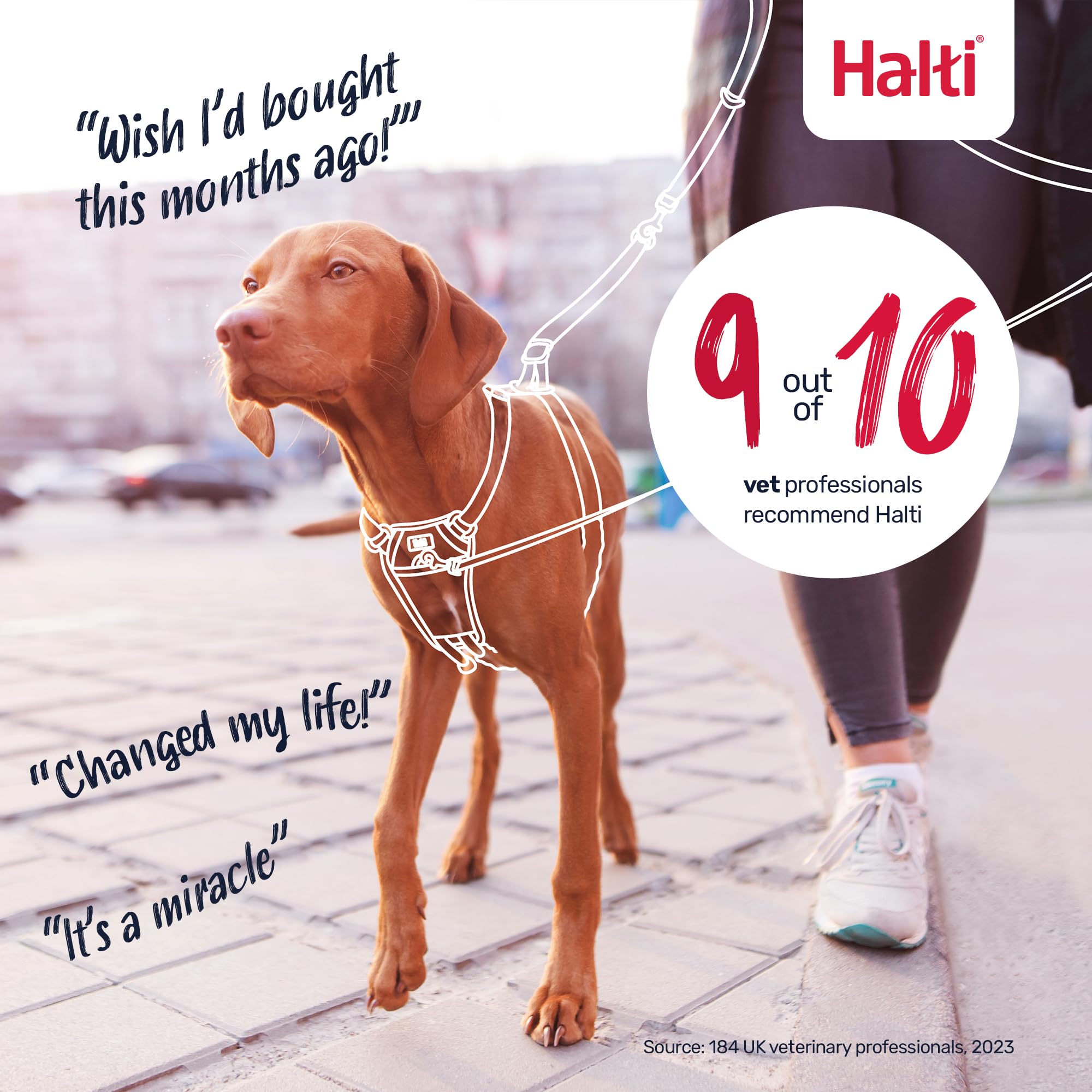 Halti No Pull Dog Harness - Stops Pulling | Size M | Pink 6