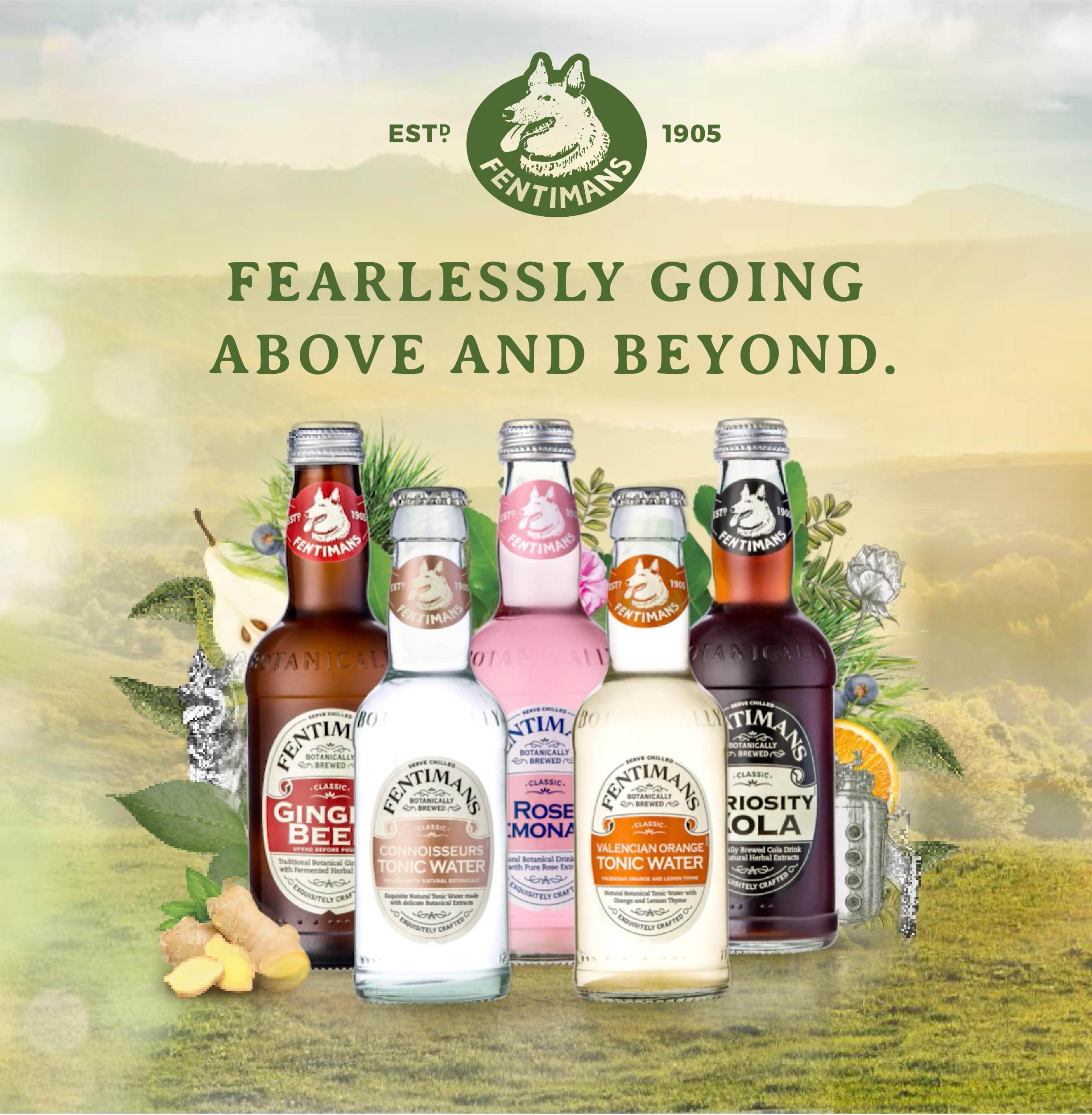 Fentimans Connoisseurs Tonic Water - Botanically Brewed, Gluten Free | 200 ml (Pack of 4) 6
