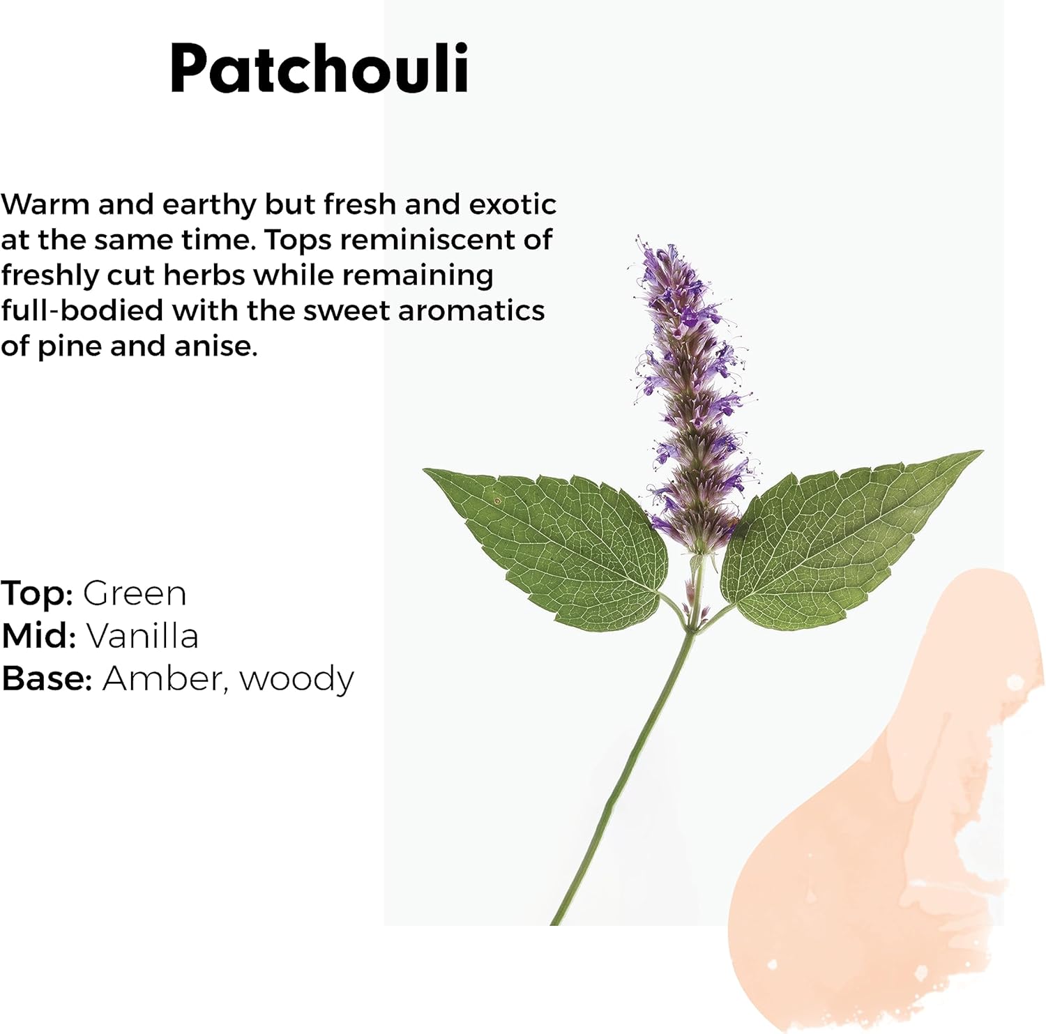 Wilton London Eco-Friendly Patchouli Laundry Liquid (1.09 kg, 28 Washes) 5