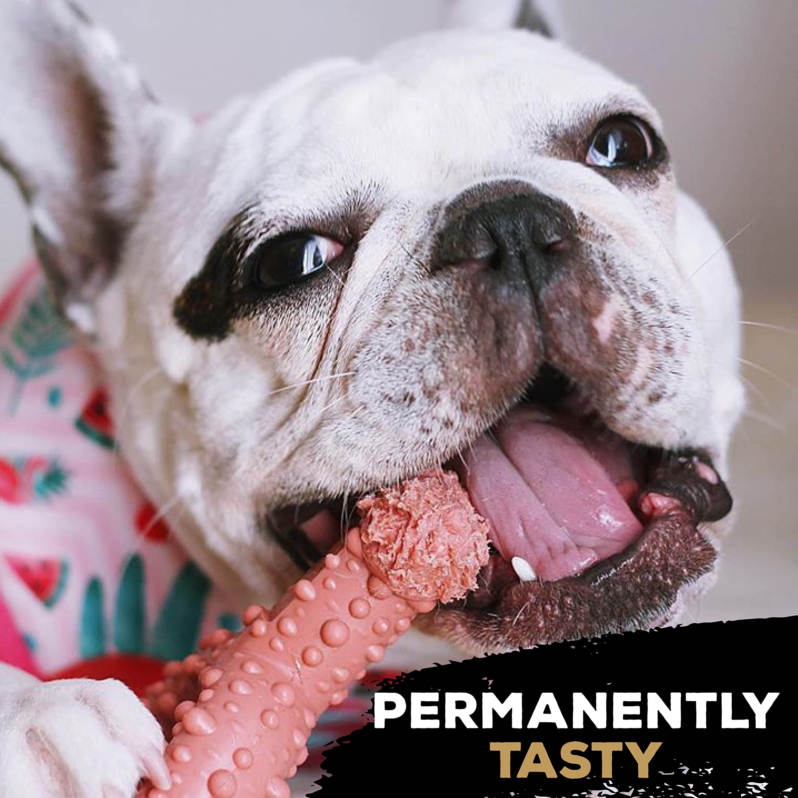 Tasty Bone TrioBone Peanut Butter Chew Toy - Durable Nylon | For Toy Dogs | 100 Day Guarantee 5