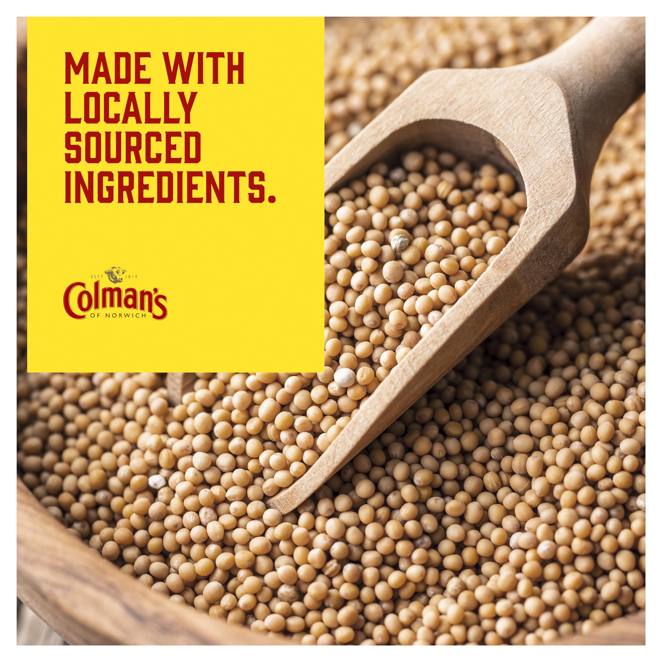 Colman's Original English Mustard, 100g 5