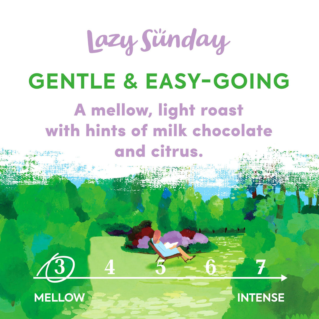 Taylors of Harrogate Lazy Sunday Ground Coffee, 200g (Pack of 6) - 1.2kg Total