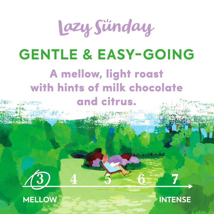Taylors of Harrogate Lazy Sunday Ground Coffee, 200g (Pack of 6) - 1.2kg Total