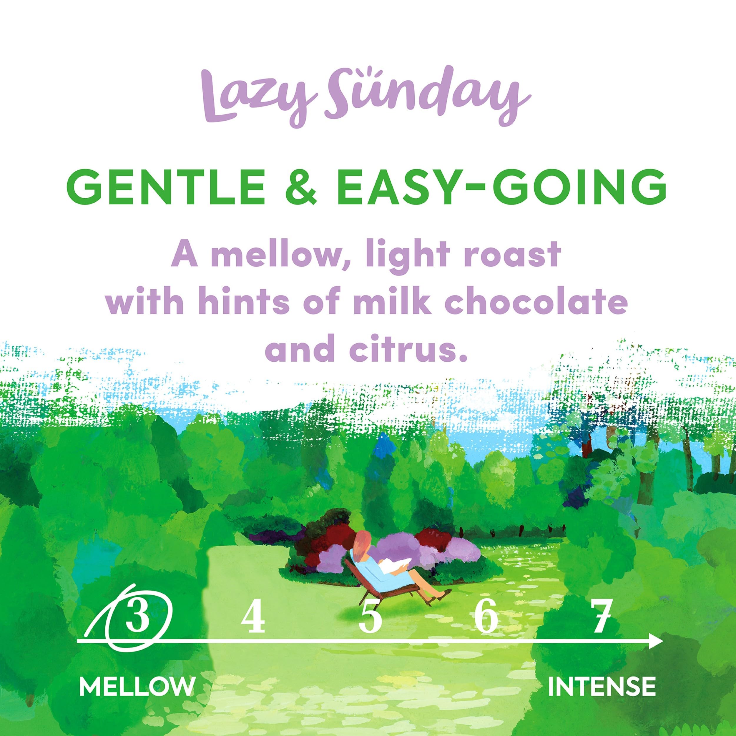 Taylors of Harrogate Lazy Sunday Ground Coffee - Smooth Milk Chocolate & Citrus Notes | 400g Pack of 3 2