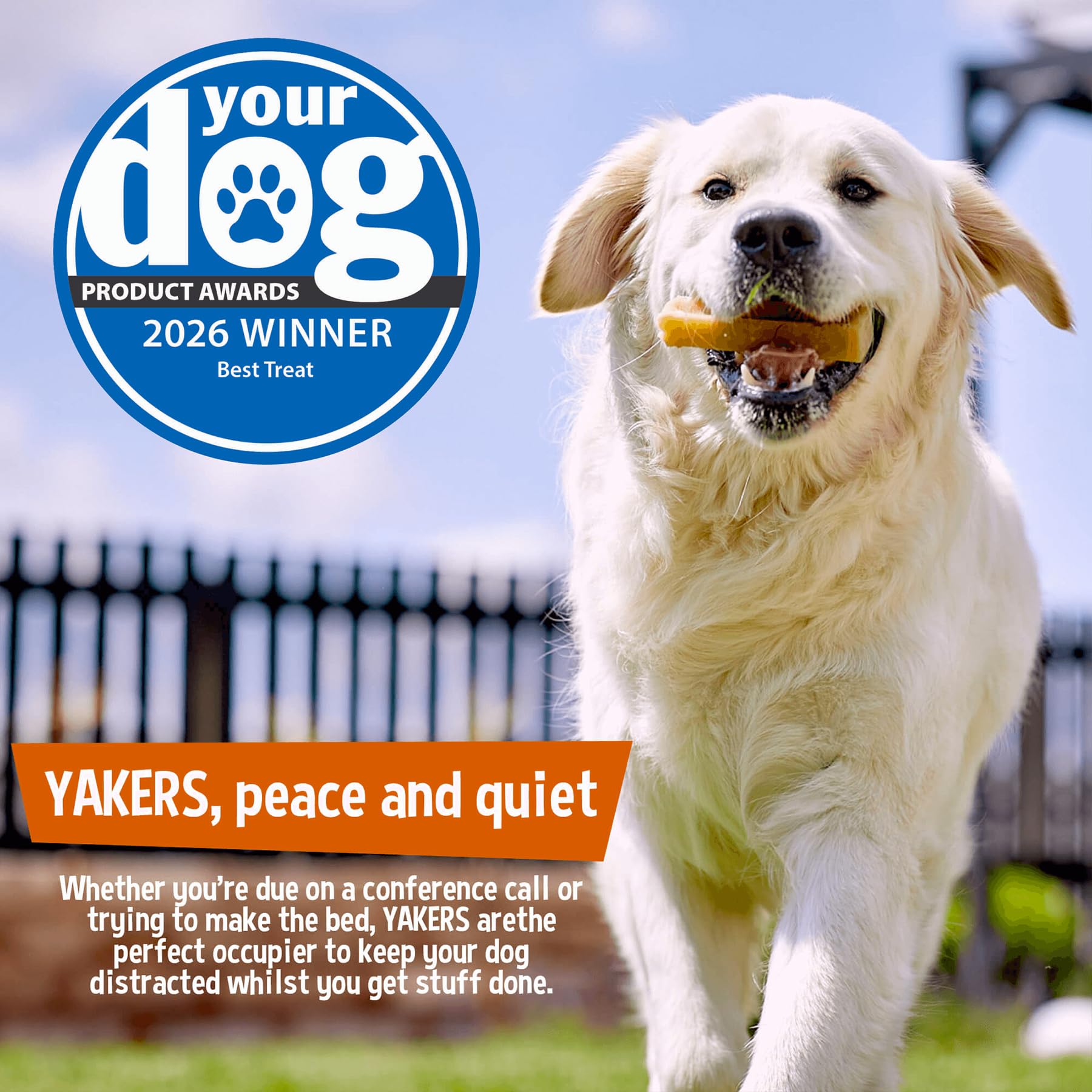 Yakers Strawberry Dog Chew Medium - 100% Natural Protein & Calcium | Durable Chew 6