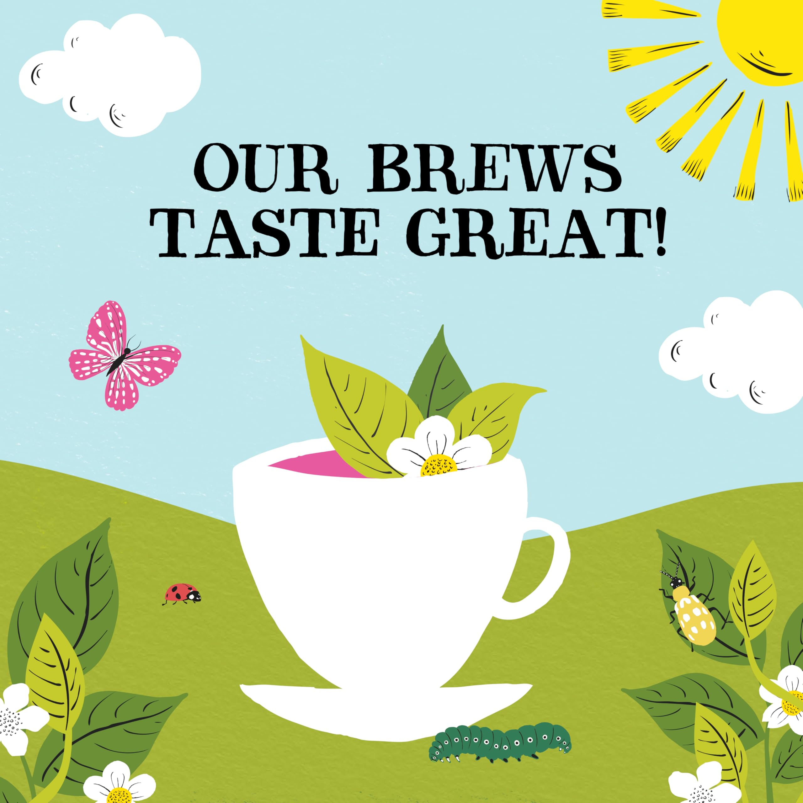 Clipper Organic Herbal & Green Tea Selection Gift Box - 45 Plastic-Free Tea Bags 6