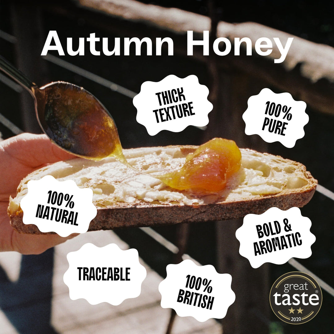 Black Bee Honey - Pure British Autumn Honey, Thick with Bold Aromatic Flavour