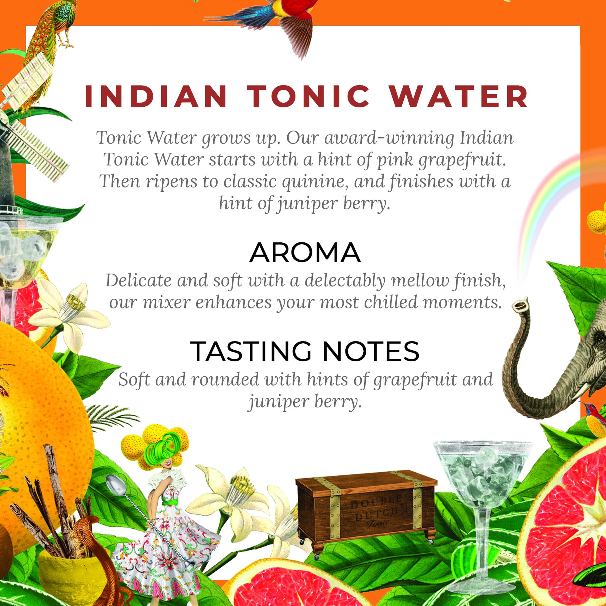Double Dutch - Indian Tonic Water Can 6
