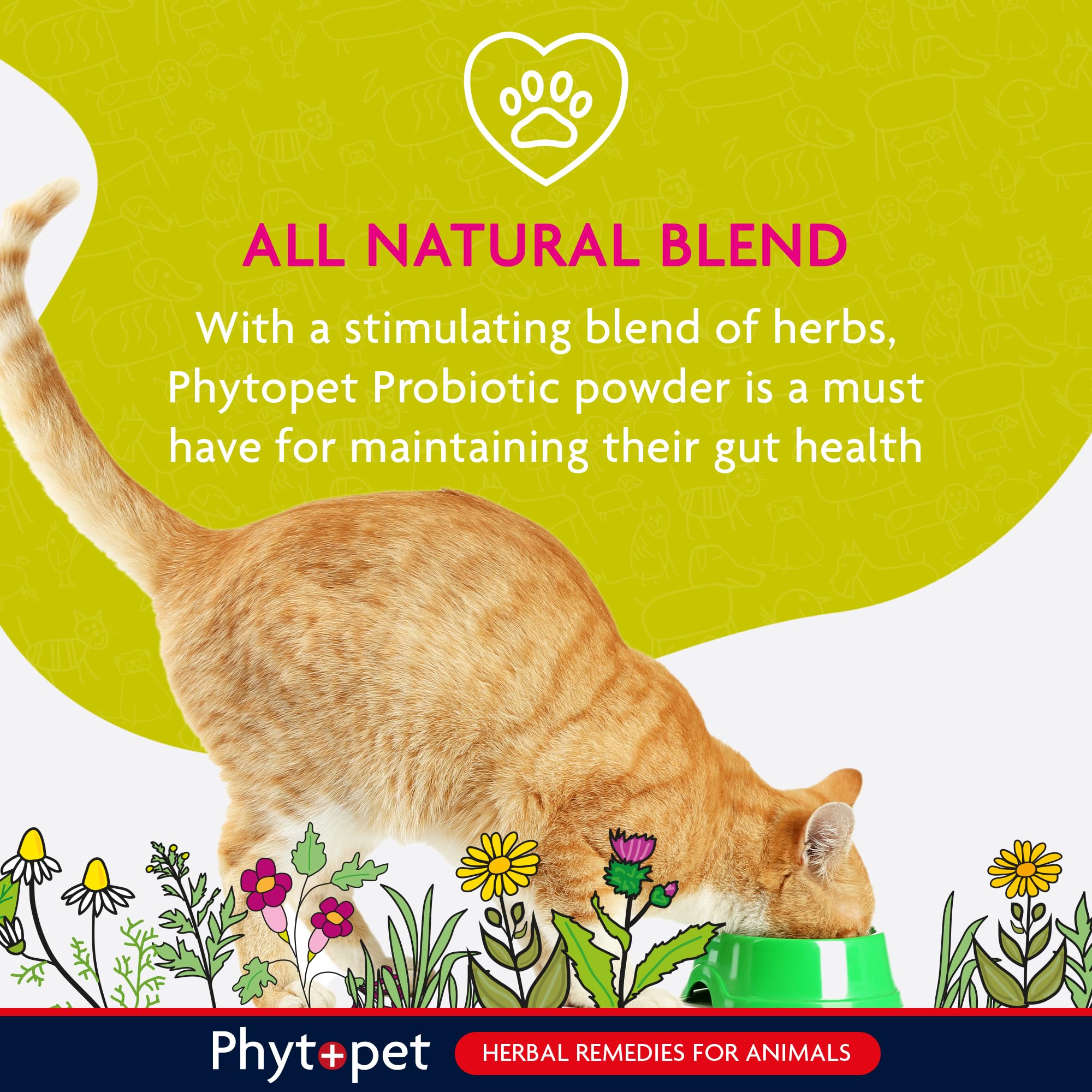 Phytopet Probiotic Concentrate - All Natural Gut Health Powder for Dogs & Cats | 100g 3
