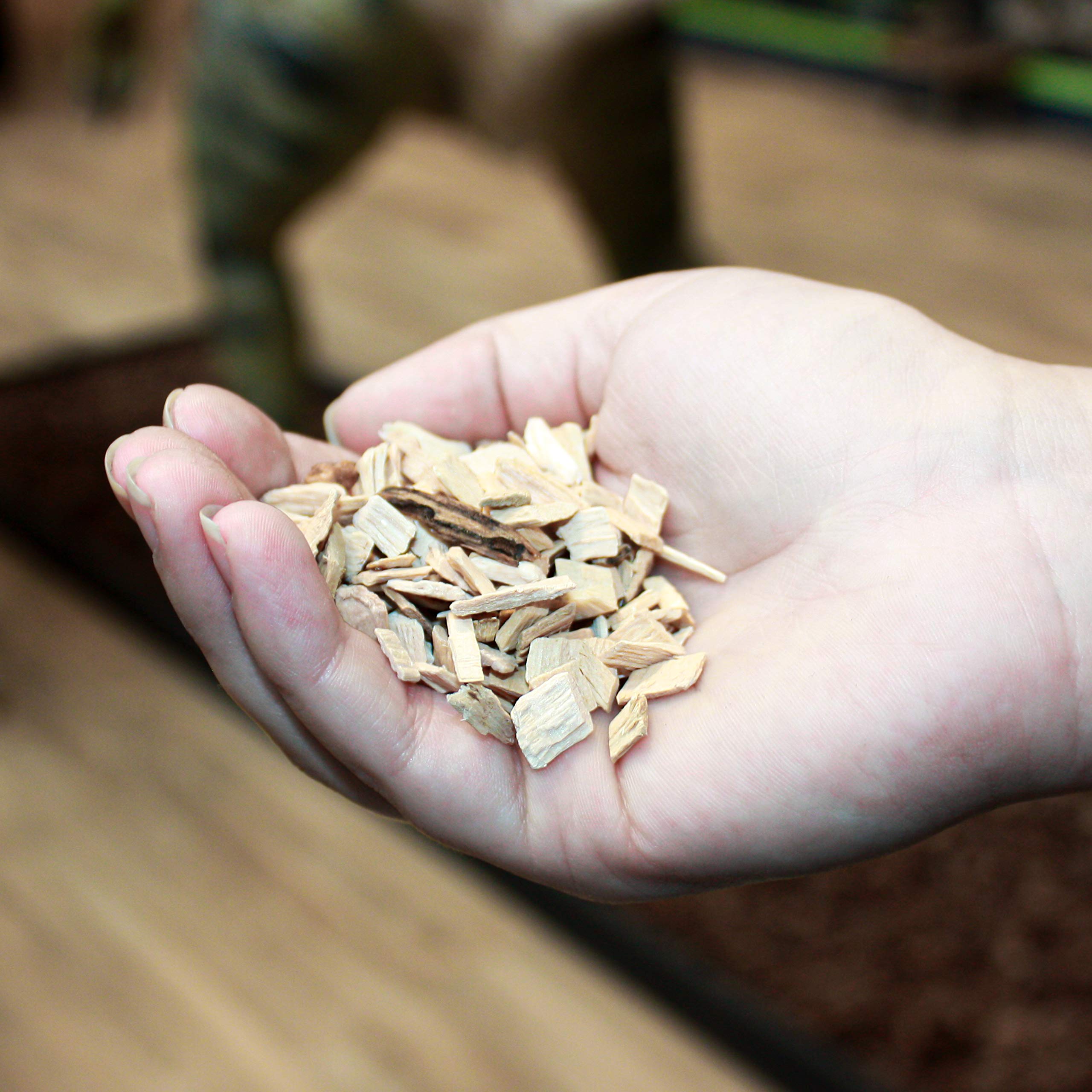 Komodo Coarse Beech Chips Substrate - 6L | Natural Reptile Bedding for Arid/Semi-Humid Environments 6
