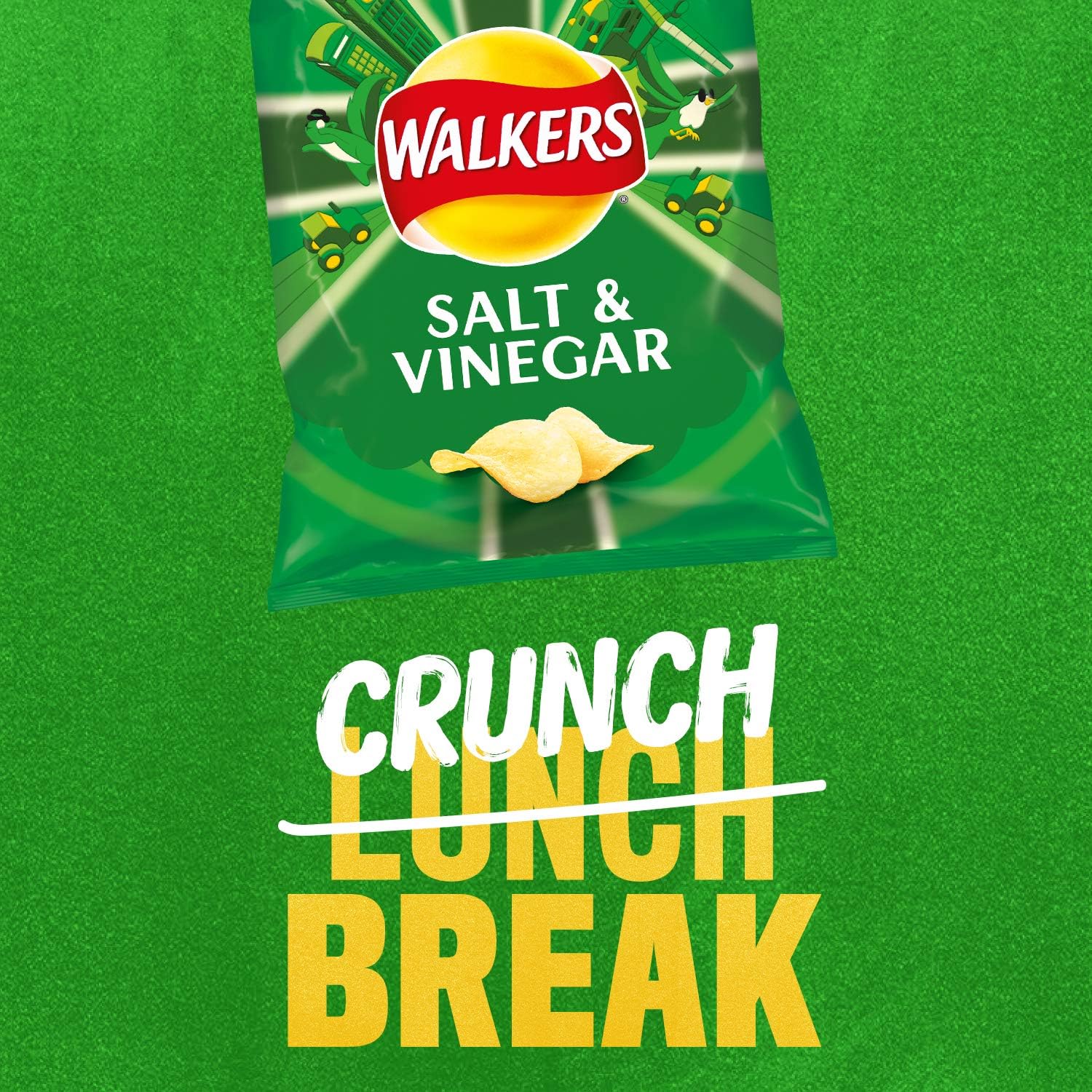 Walkers Salt & Vinegar Crisps 32.5g (Case of 32) 11