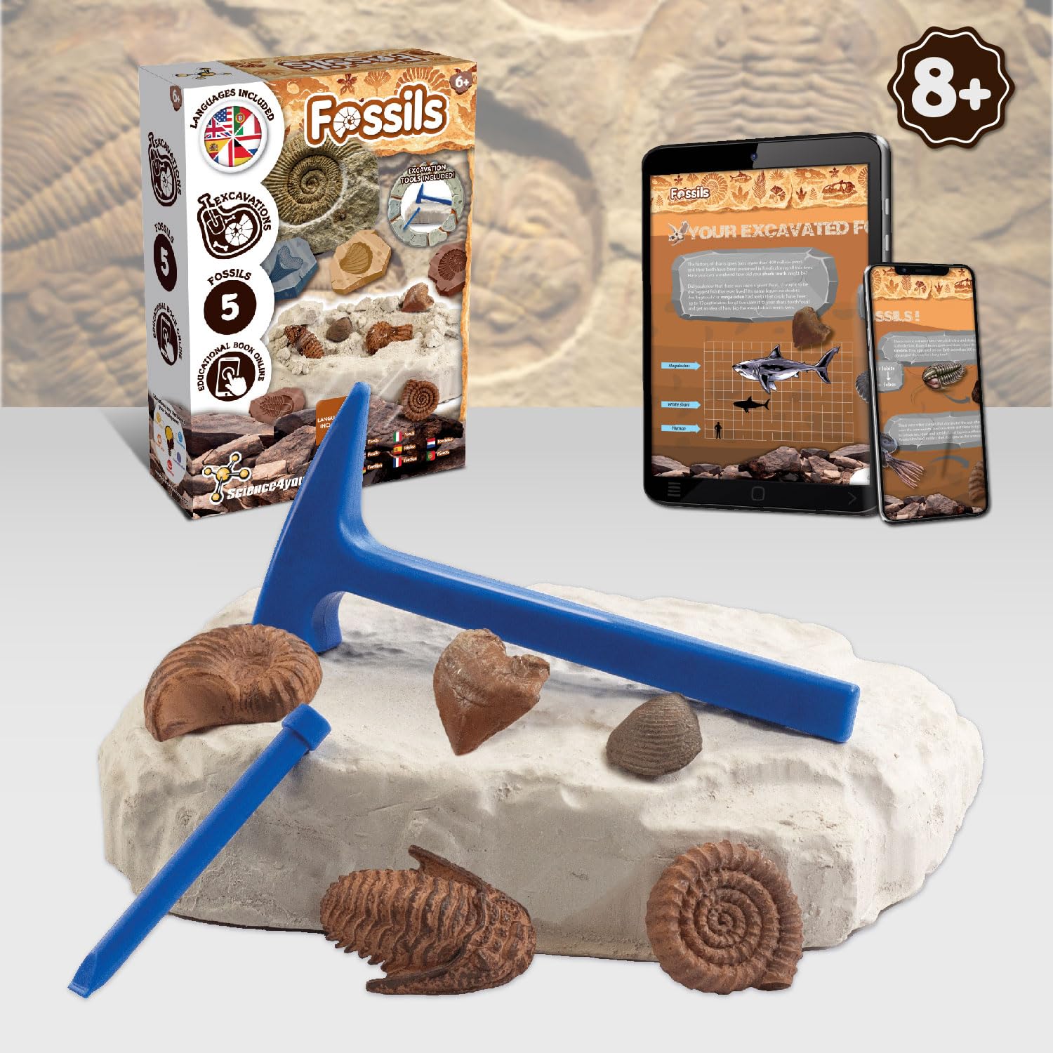 Science4you Fossil Dig Kit for Kids 6+ | Excavation Toy with 5 Fossils | Educational Paleontology Gift
