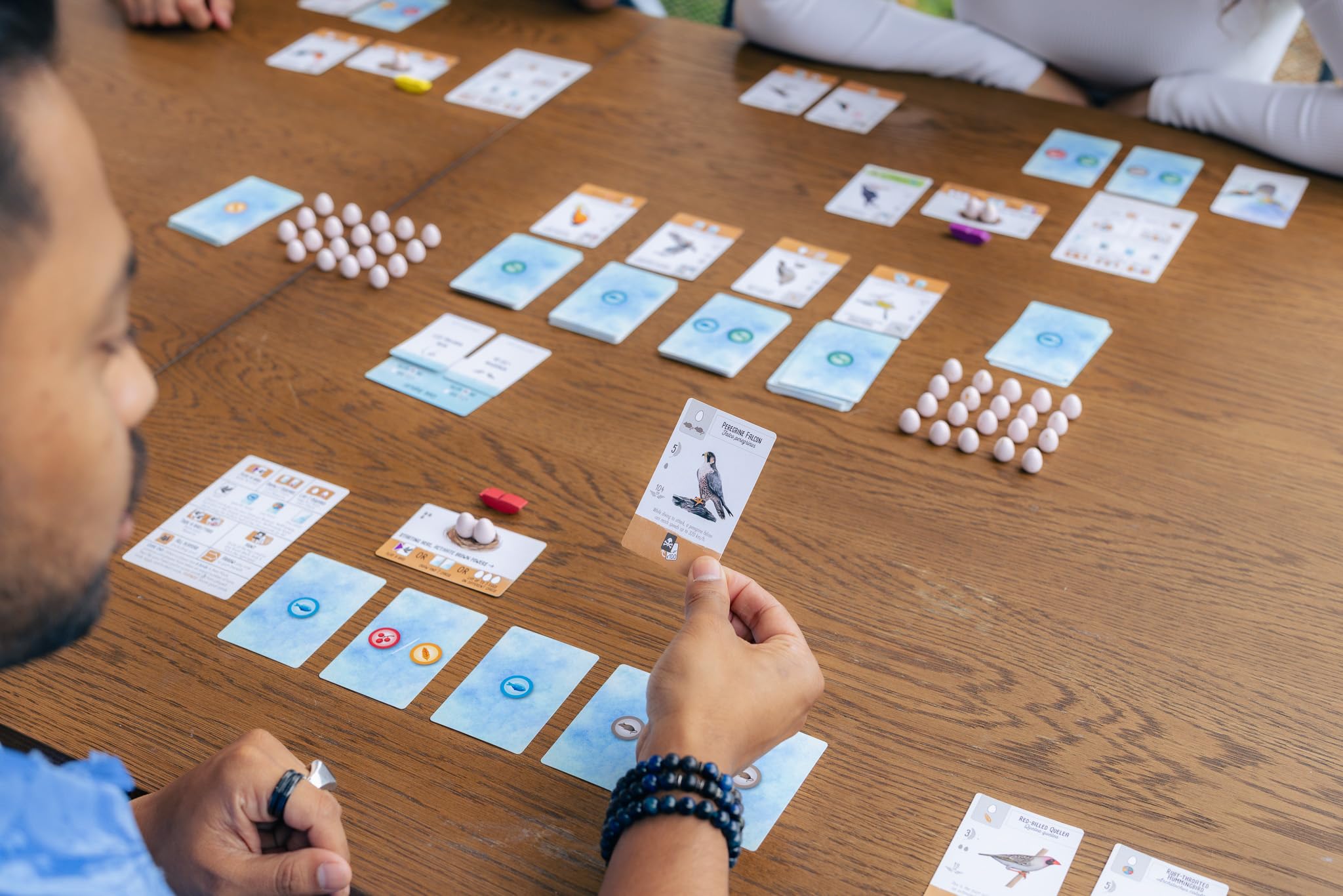Stonemaier Games Wingspan Pocket - Travel-Friendly Strategic Card Game | Ages 8+ | 30 Min Playtime | 1-5 Players 7