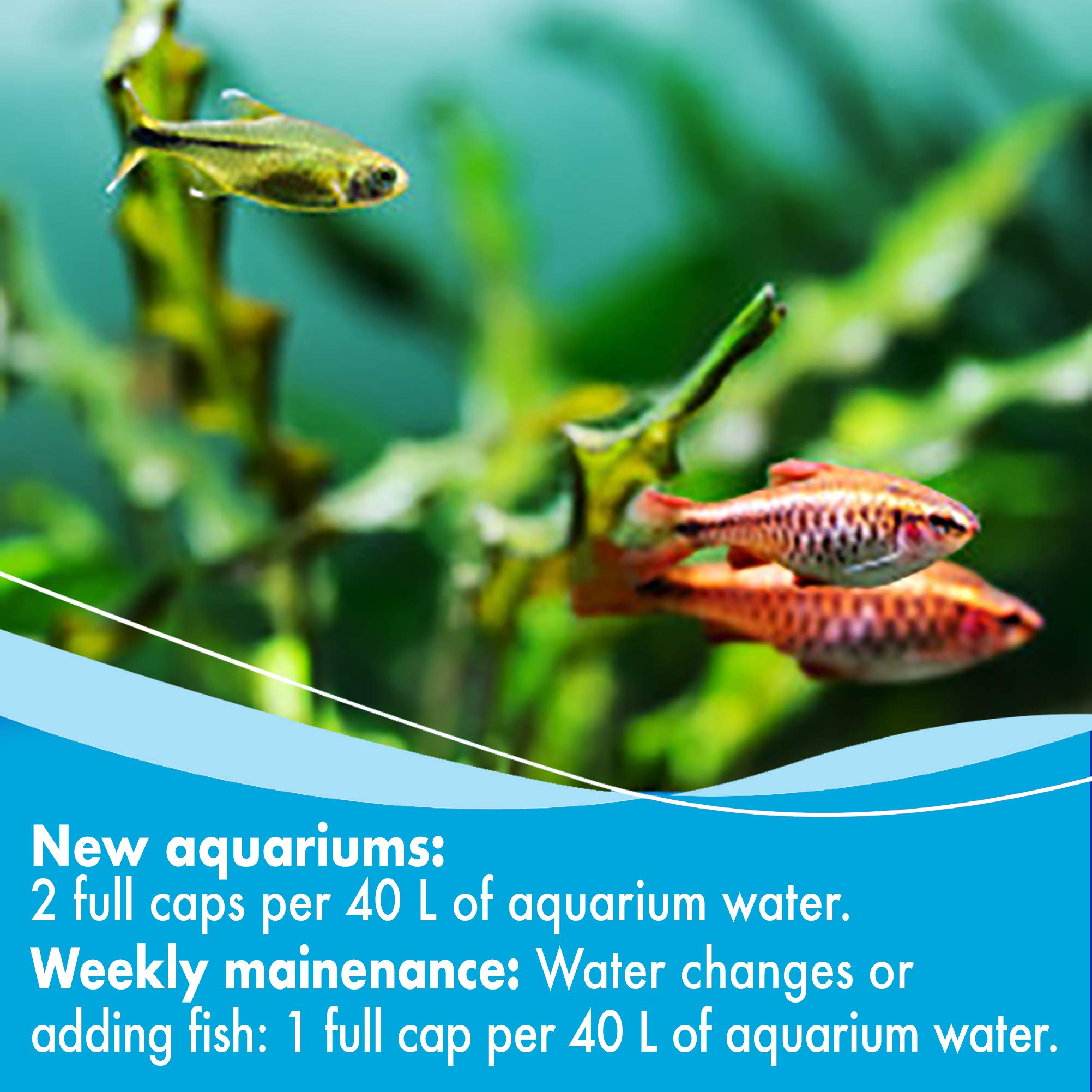 AQUARIAN Weekly Water Cleaner for Aquariums - Liquid Treatment, 473 ml (Pack of 1) 6