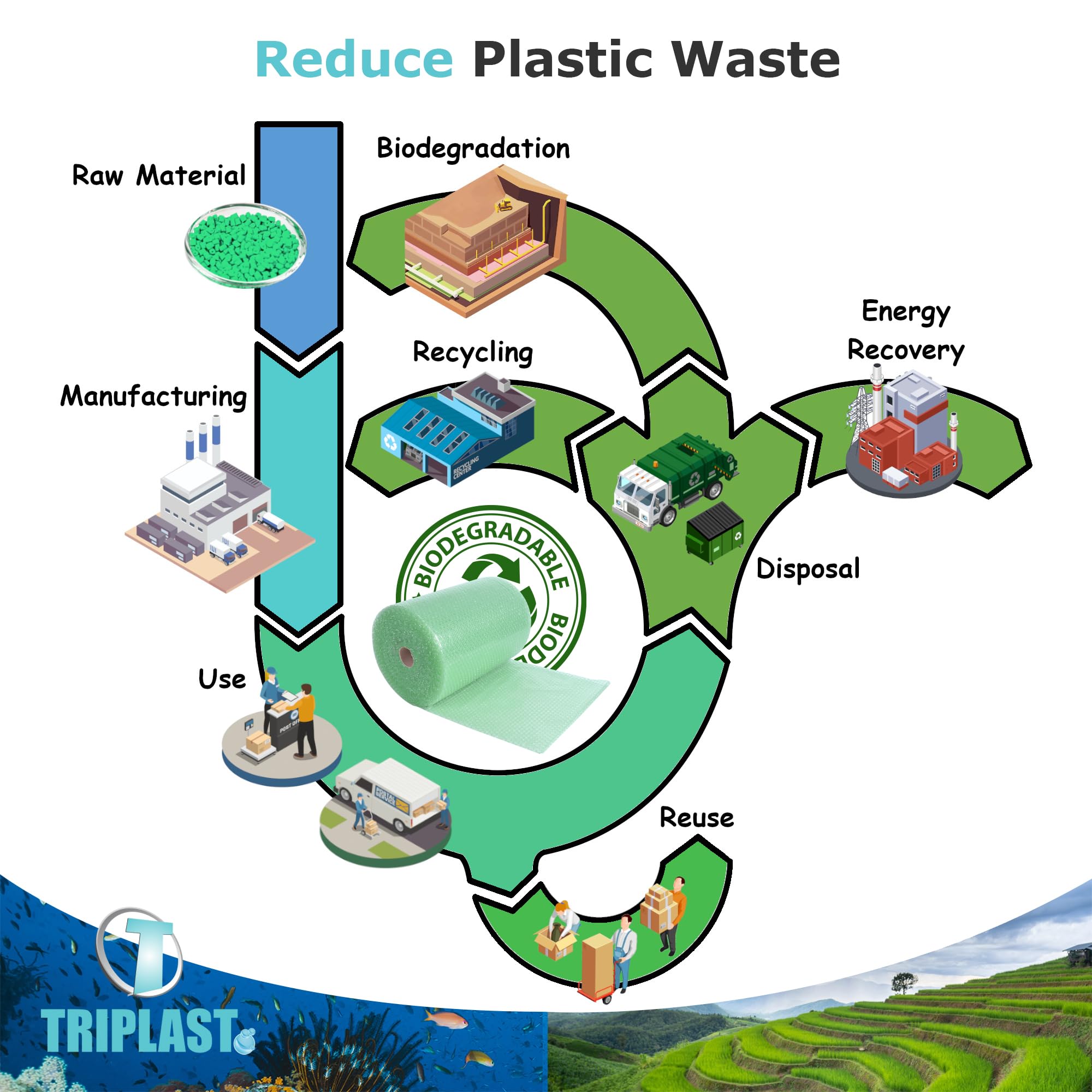 Triplast Biodegradable Green Bubble Wrap Roll - 300mm x 10m | Small 10mm Bubbles | Recyclable LDPE