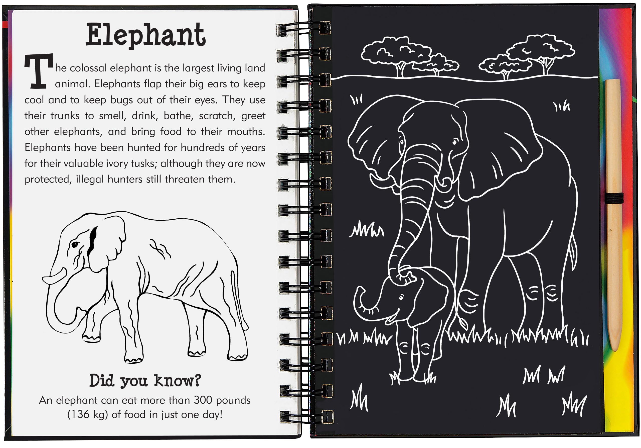 Peter Pauper Press Wild Safari Scratch & Sketch Activity Book - Trace Along, Ages 5-9 5