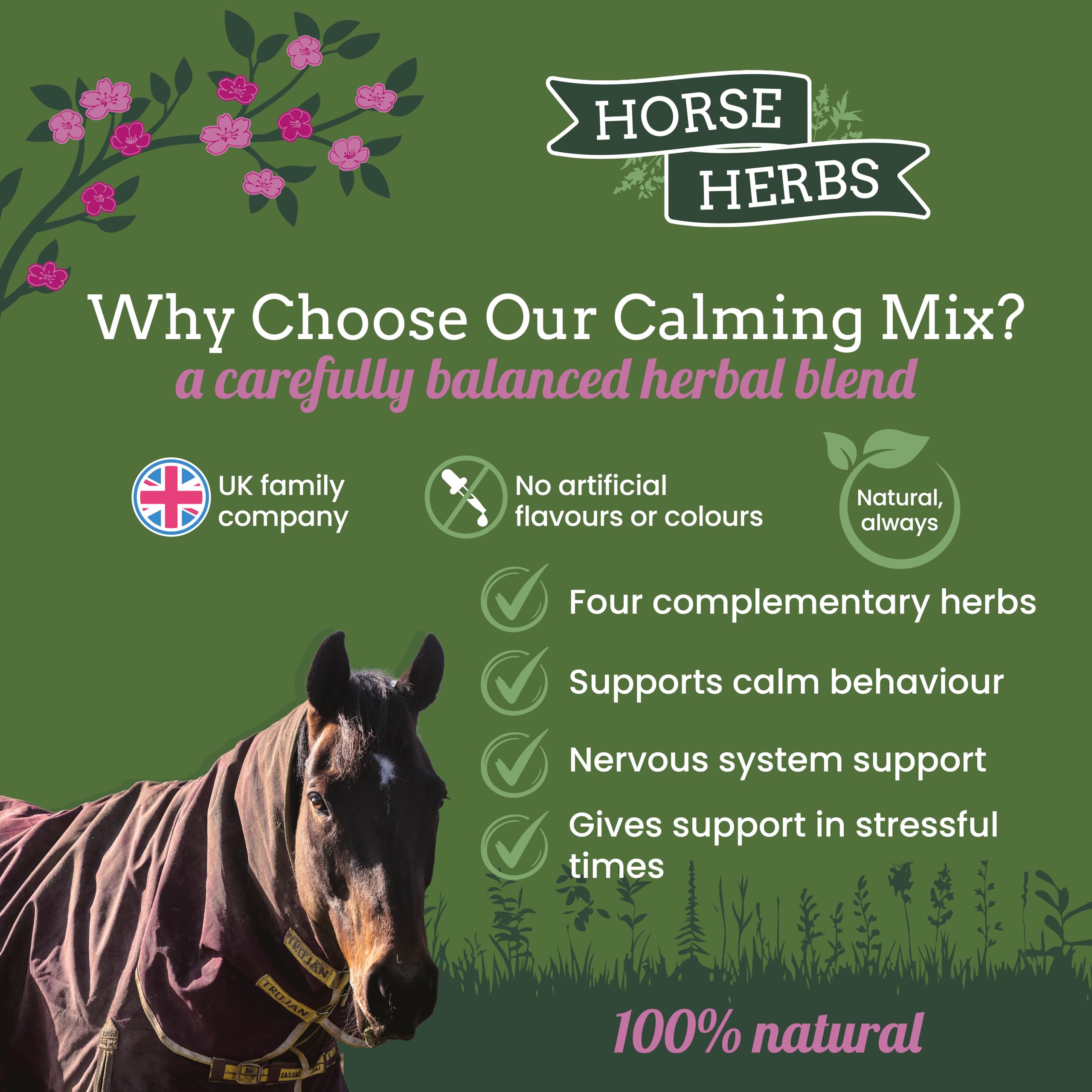 Horse Herbs Calming Mix - 1kg Natural Herbal Supplement for Horses 6